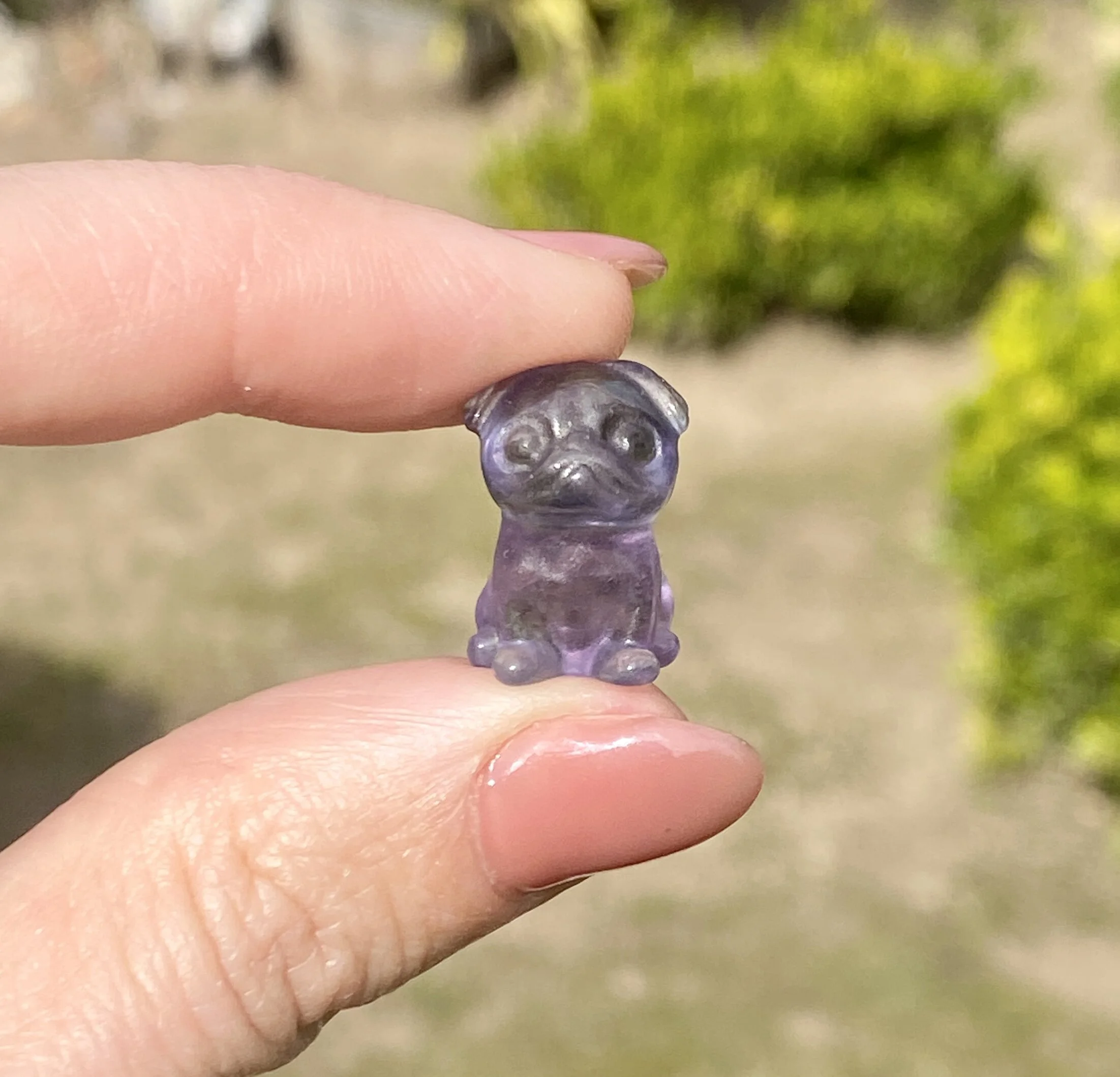 6CB498C3-4452-4B6A-B495-F2564E8E5E24