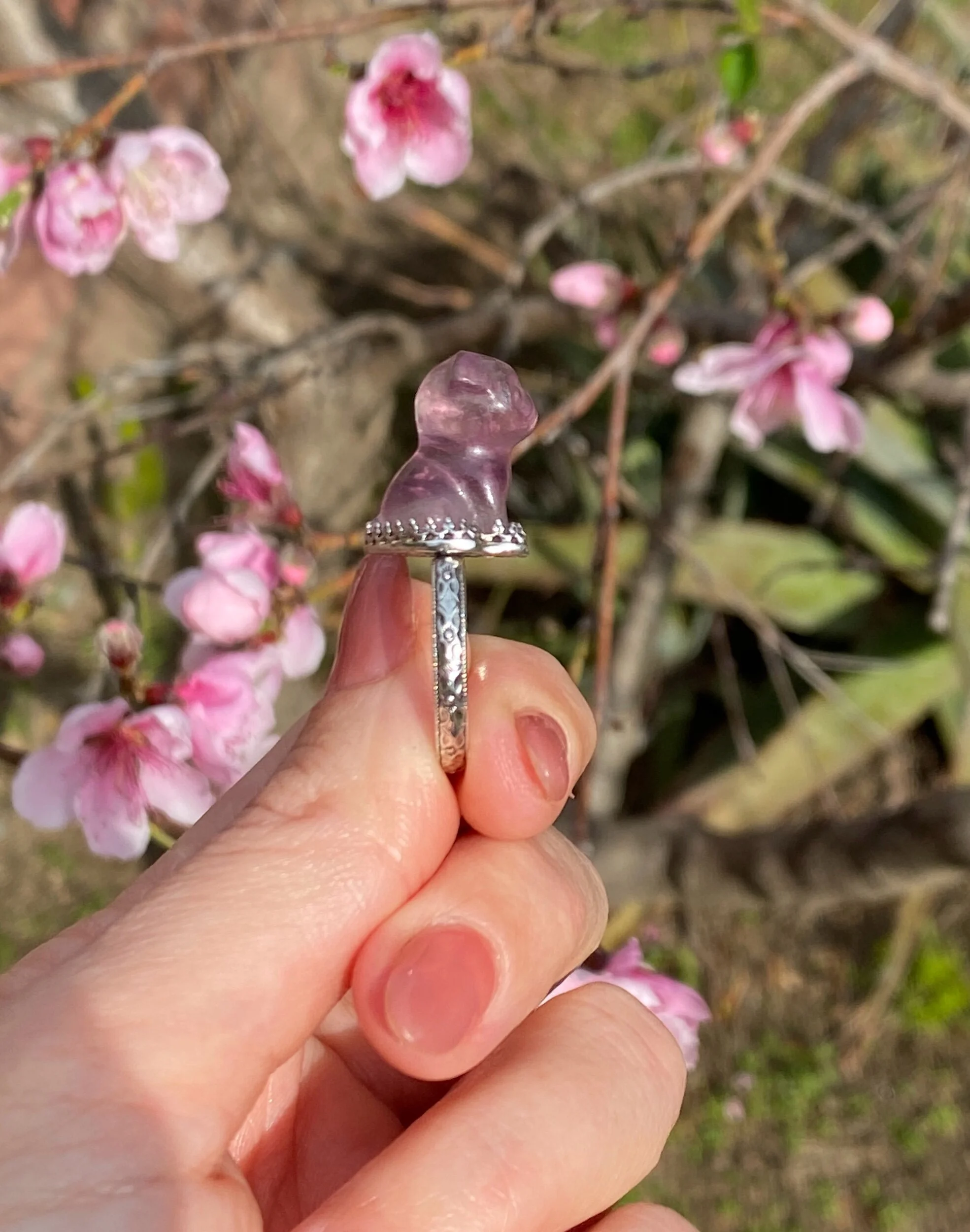 2505D931-DB45-4E8B-AD1F-DBDA7AC0663F