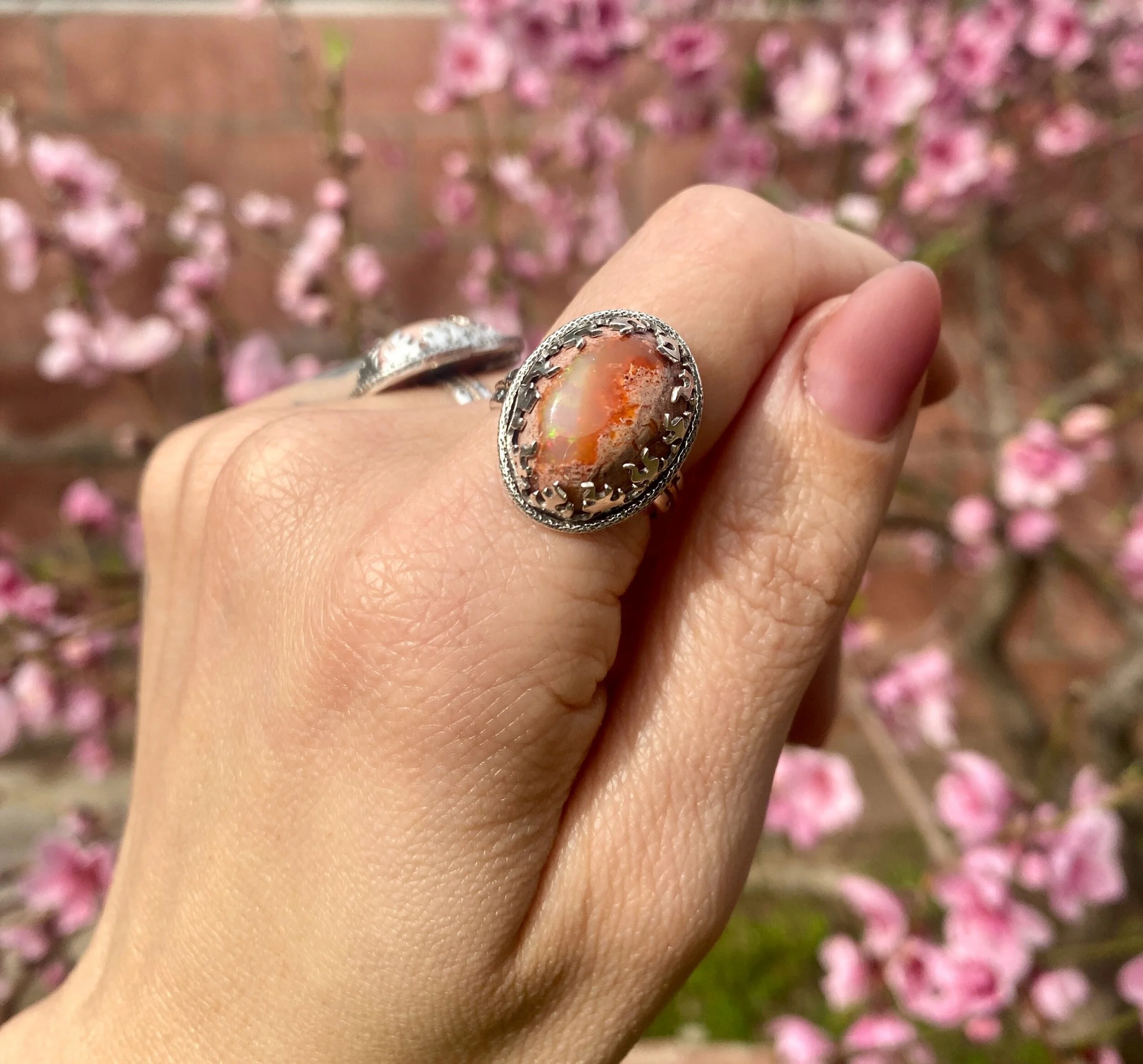 BC984529-BF9B-45DB-A975-7DE831A0BEC8