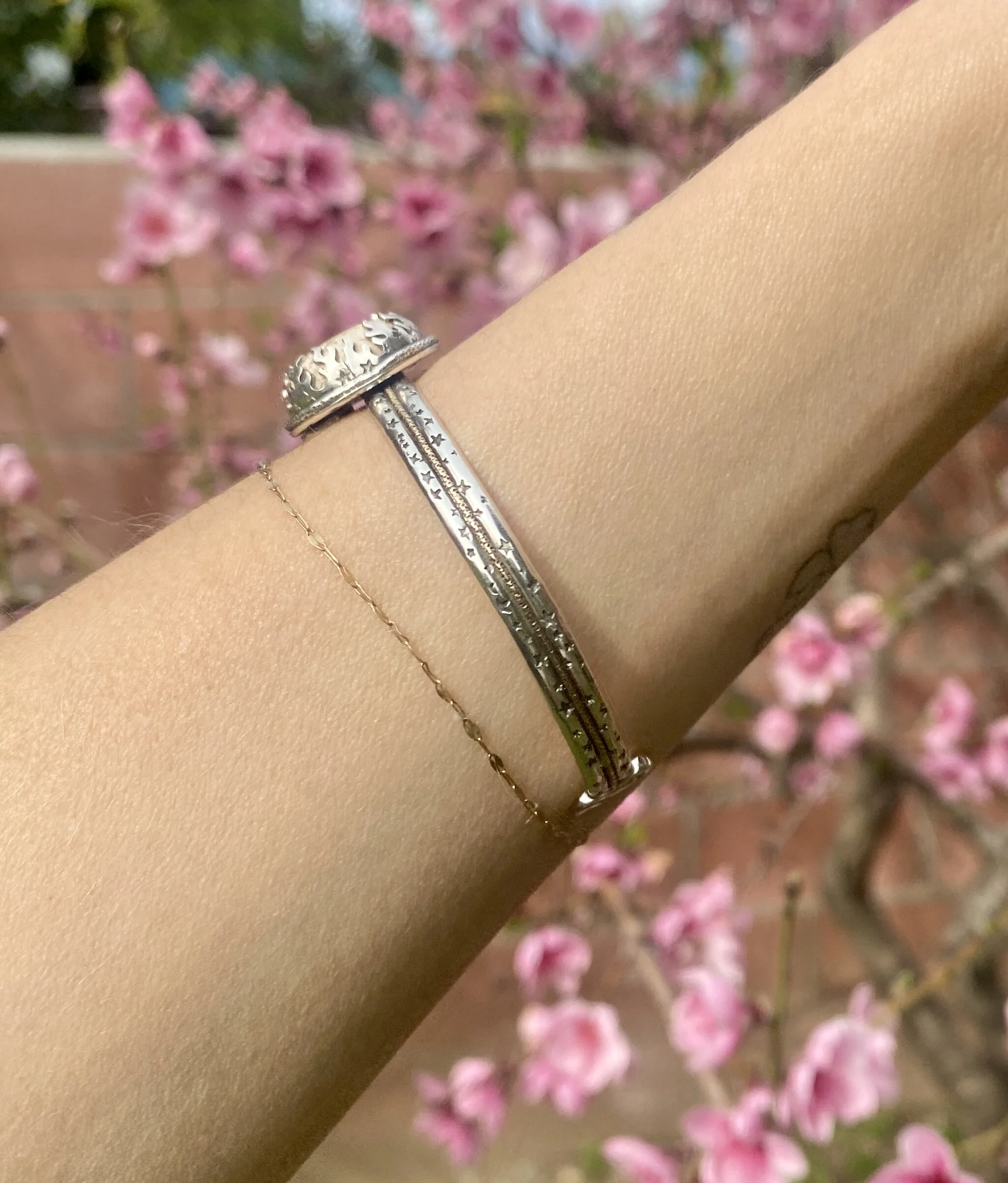 A0E26753-38C6-4EFD-B8AF-C4717BB41717