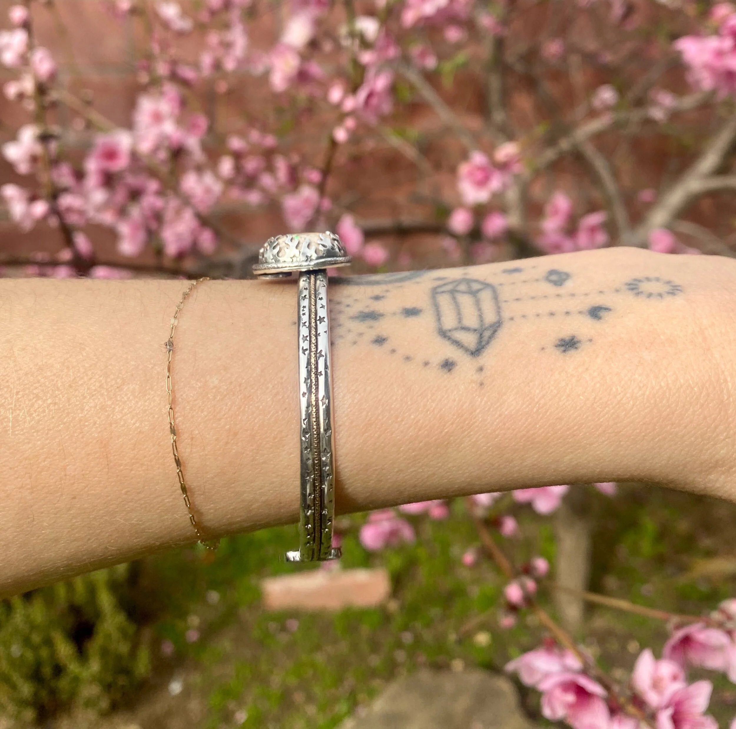 021B3155-0C5B-4CEA-8C2F-ABFB08956308