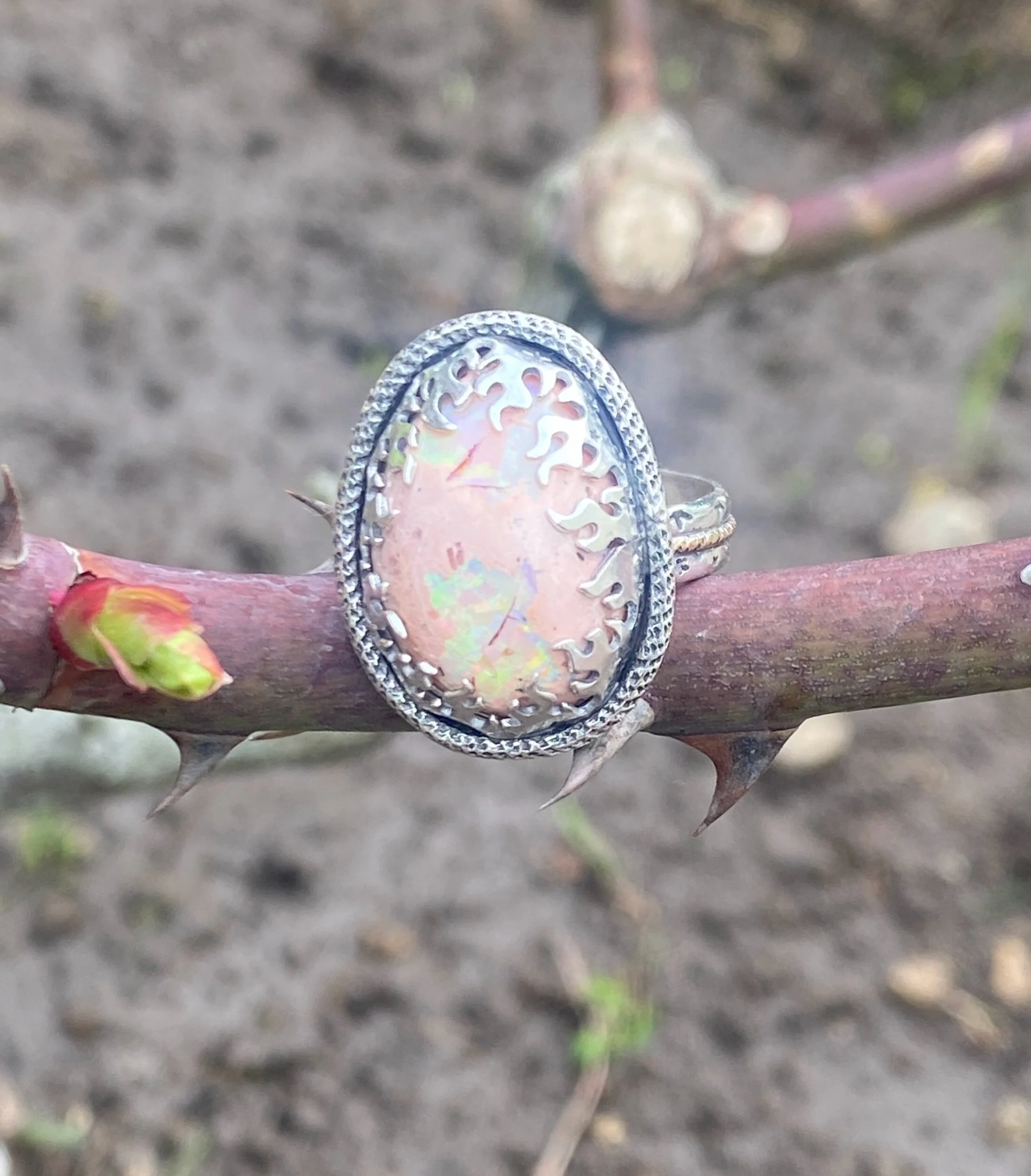 AE36FEED-2E15-4F93-A60B-55C70B85DC4A