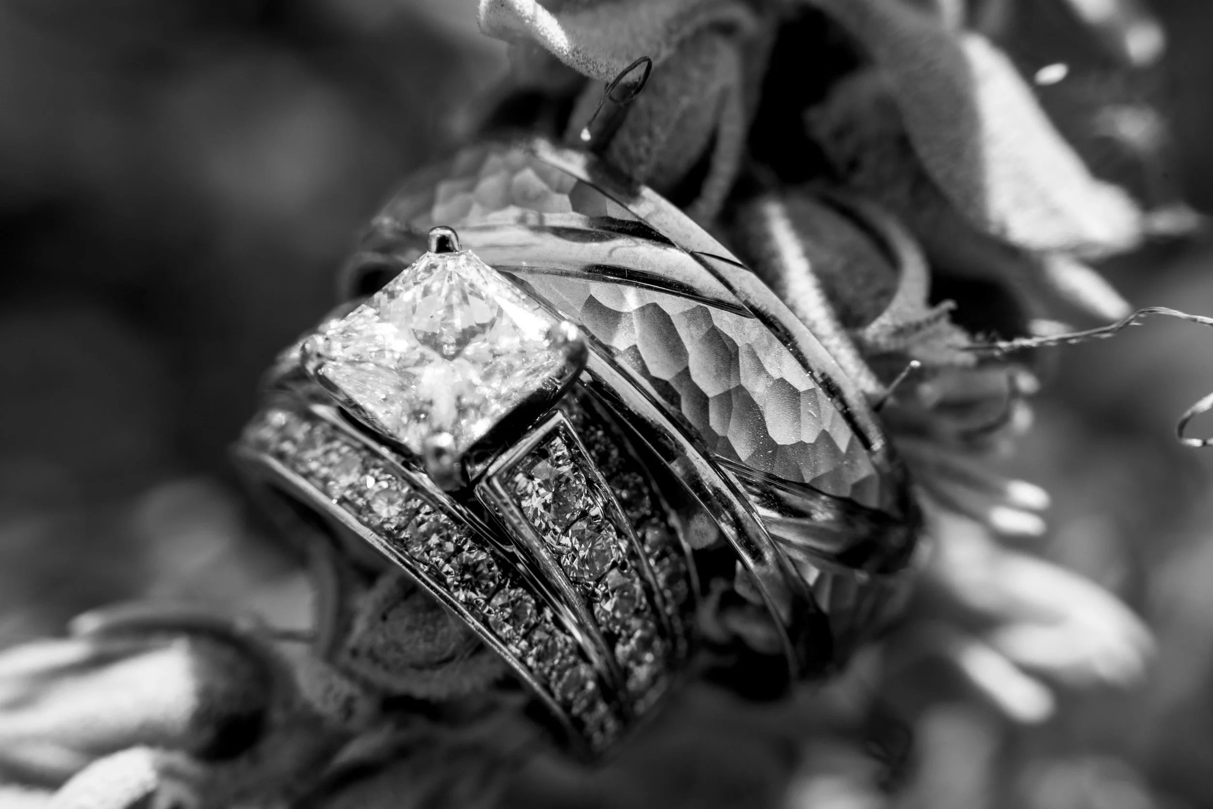 DSC_1067.jpg