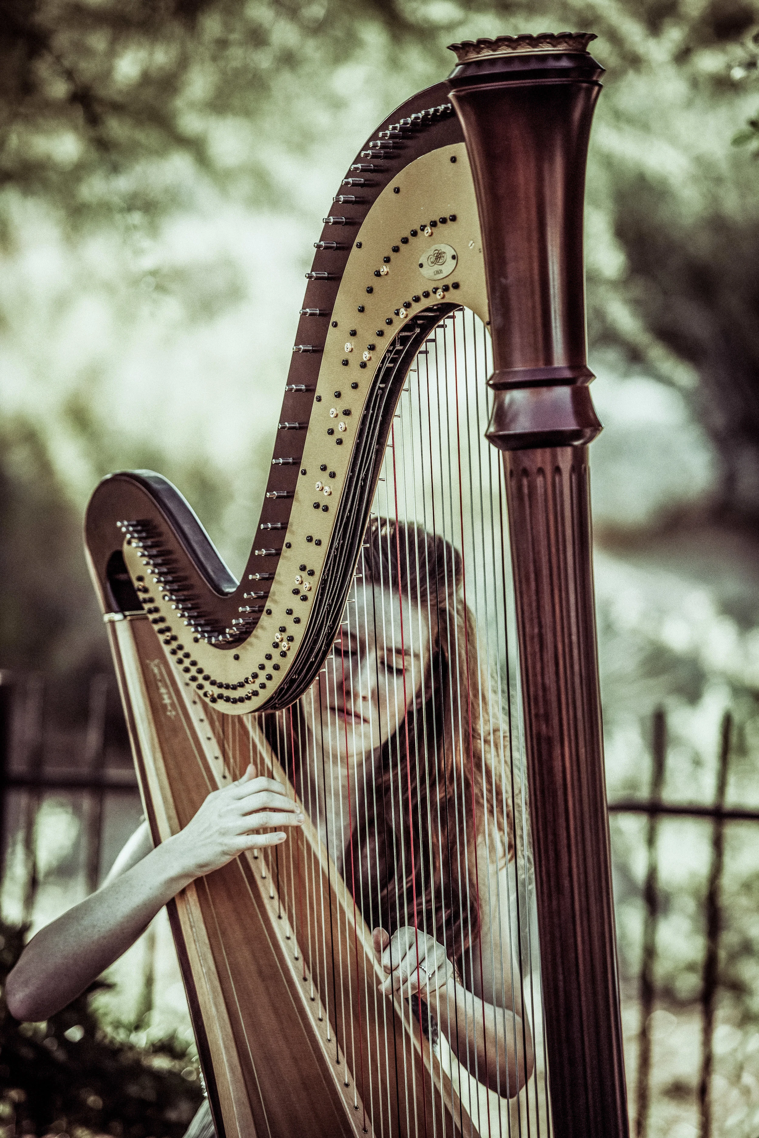 DSC_6066-Edit.jpg
