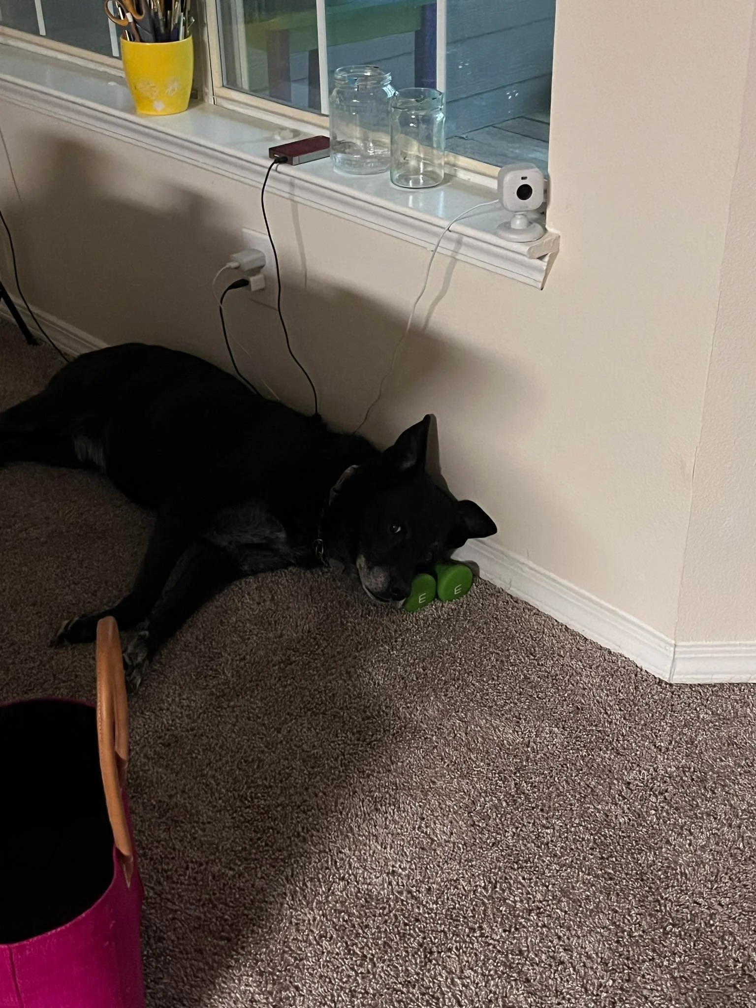 Not sure how this is comfortable.