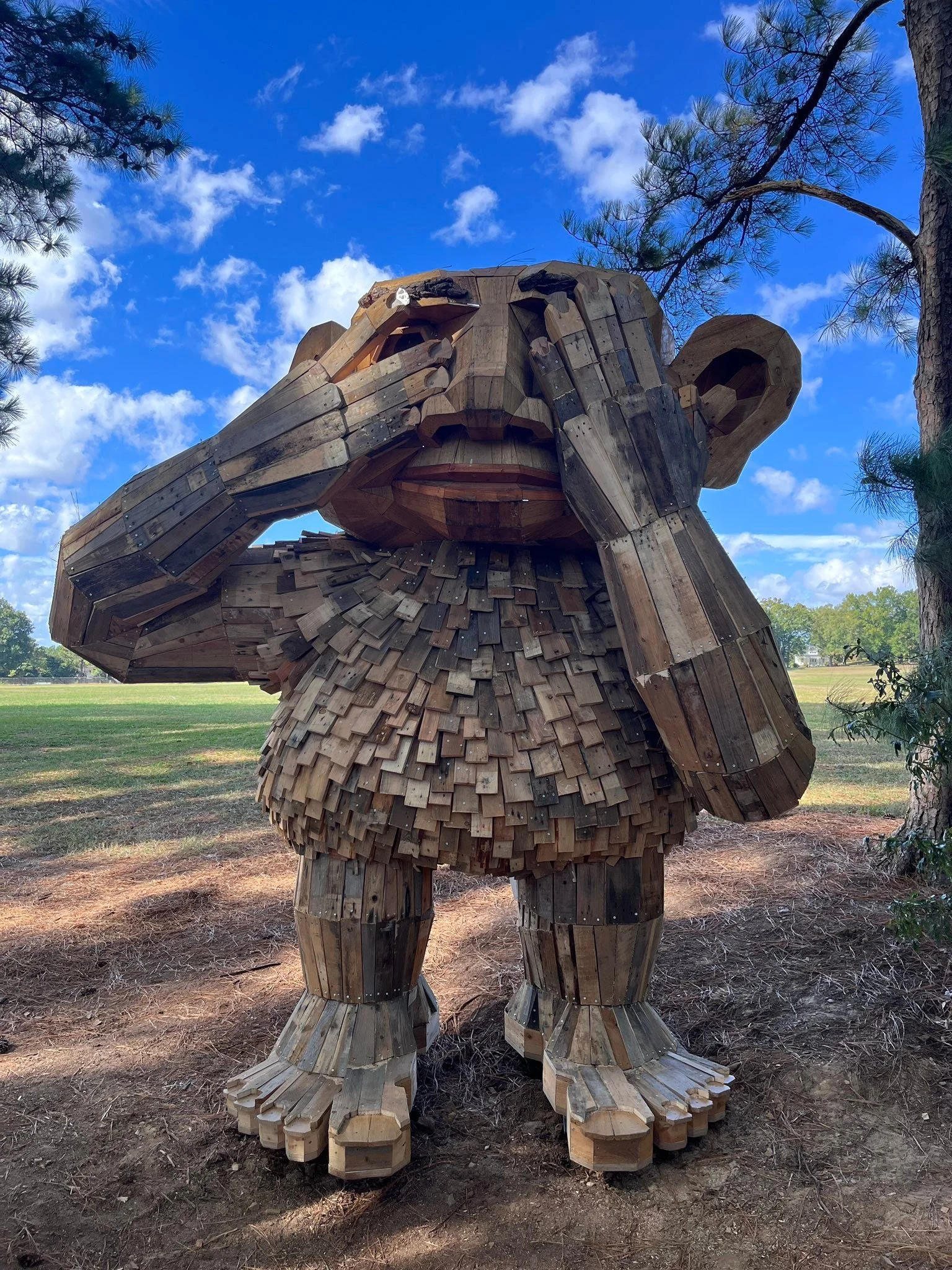 A troll kind of day.