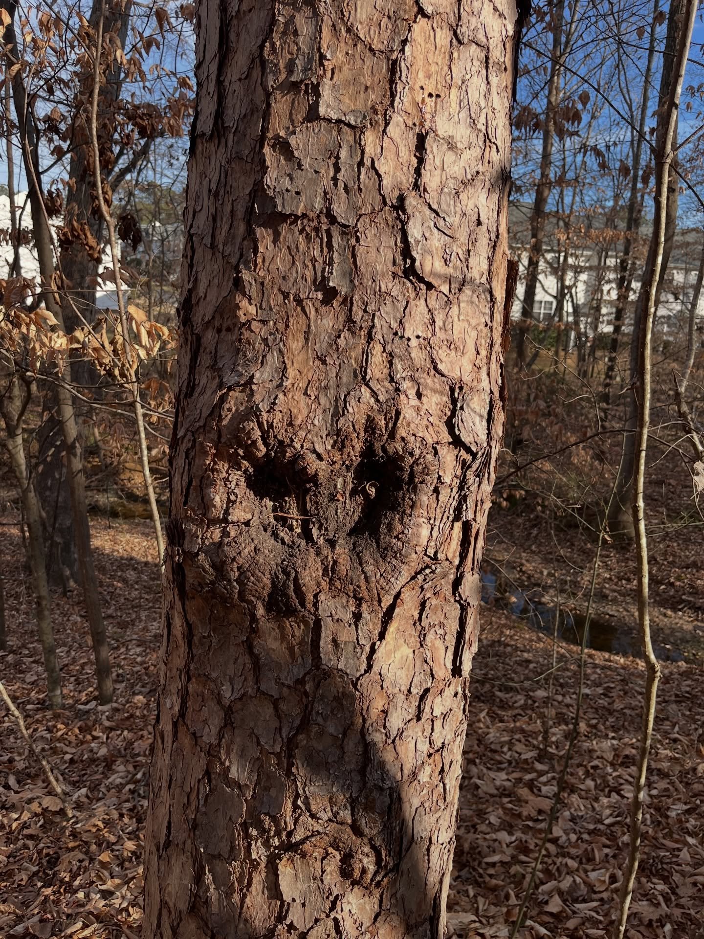 &ldquo;Love is all around.&rdquo; #signs #messages #love