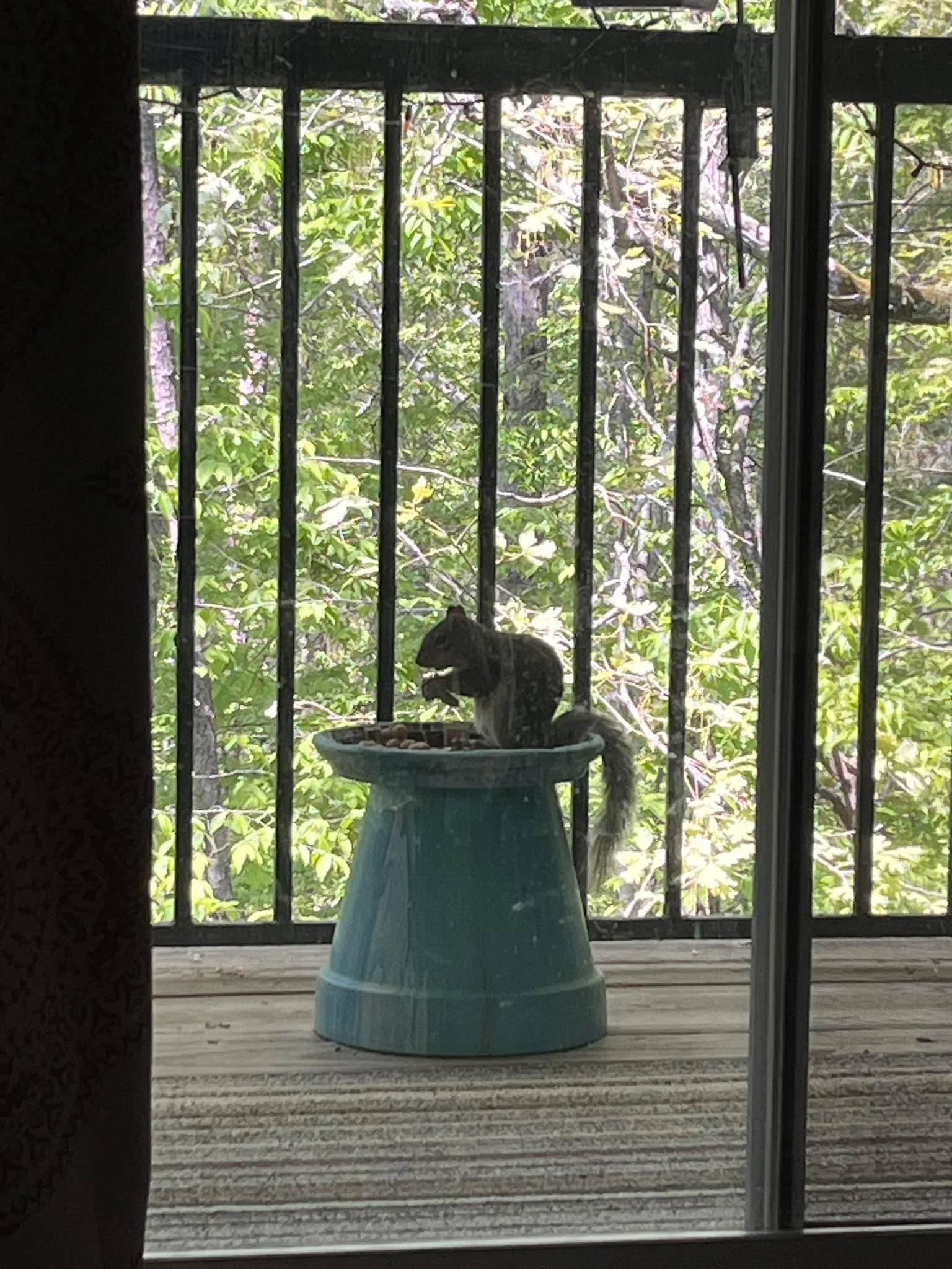 I have a new friend, I&rsquo;m pretty sure that Darwin would not be happy about this.