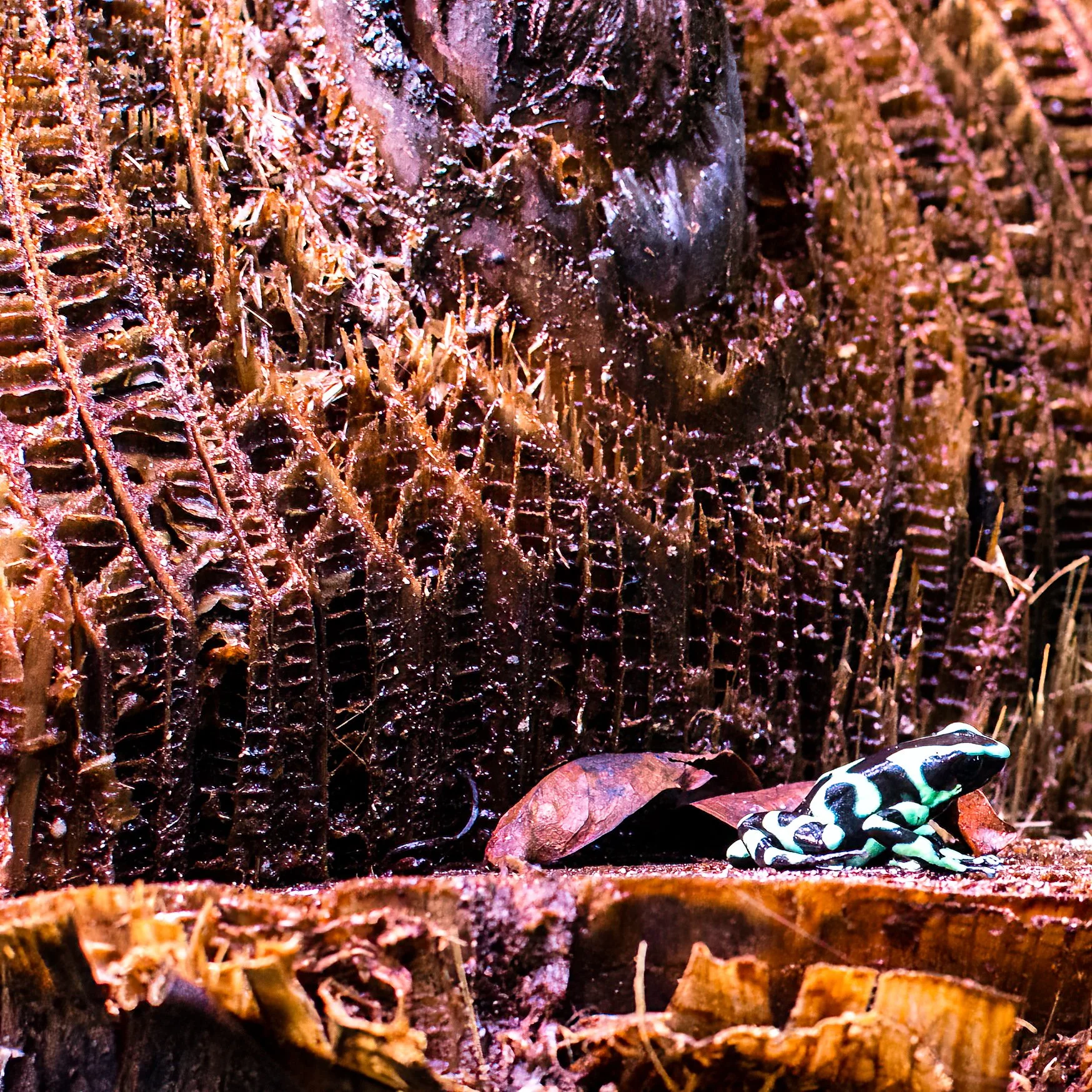20131109-_DSC0582-Edit.jpg