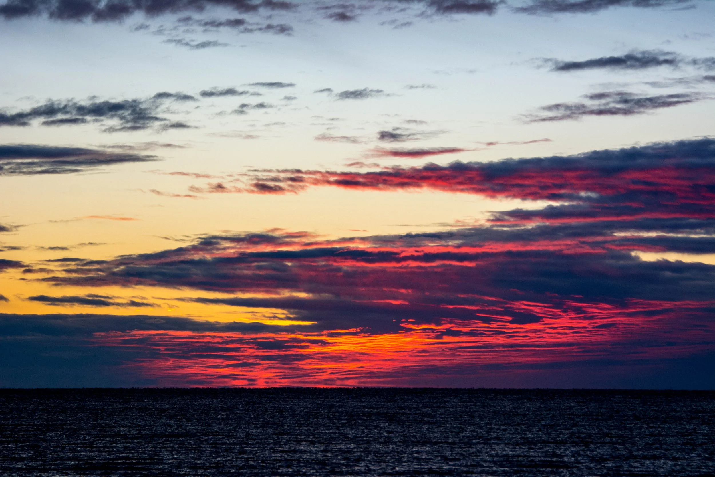 DSC_7983.jpg