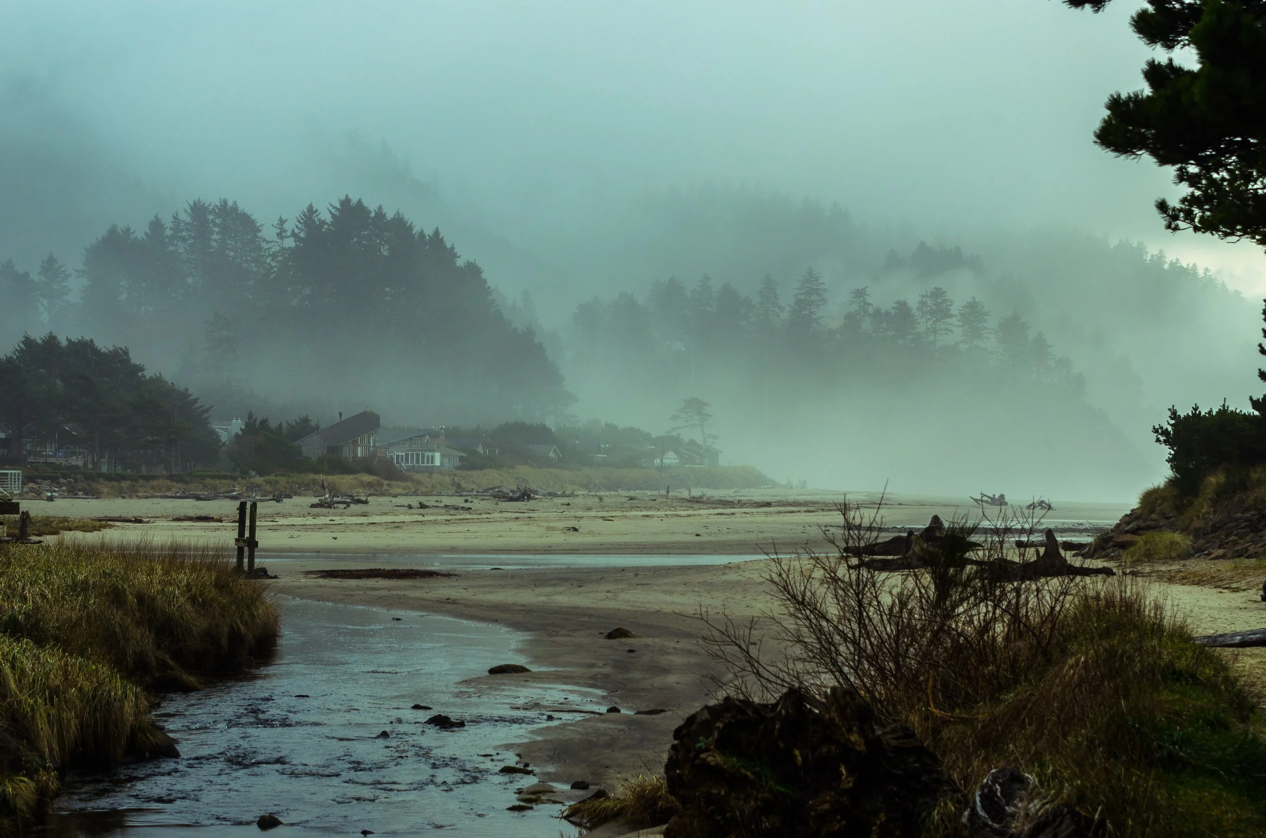 20131215-_DSC4222.jpg