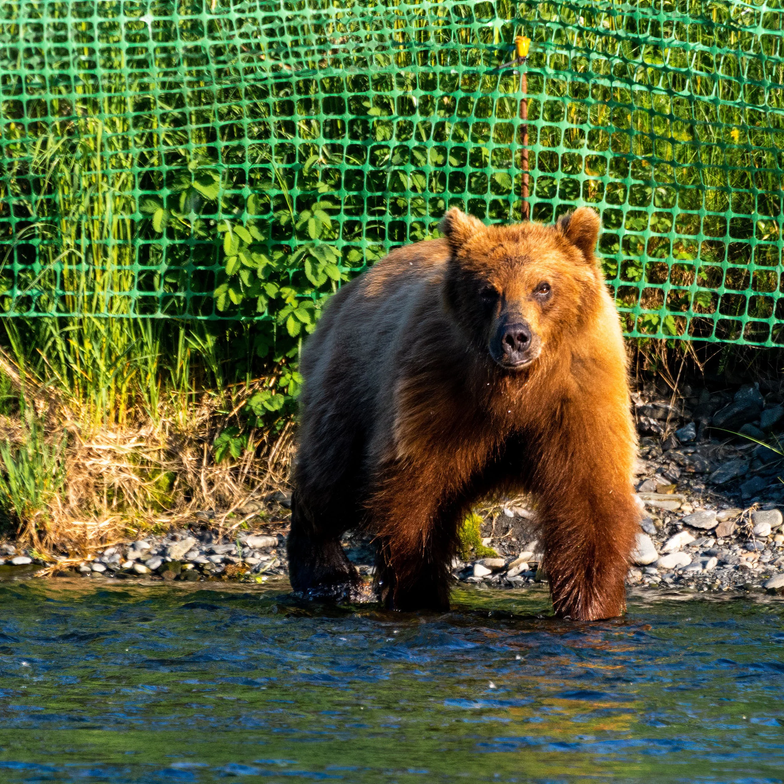 DSC_5945-Edit.jpg