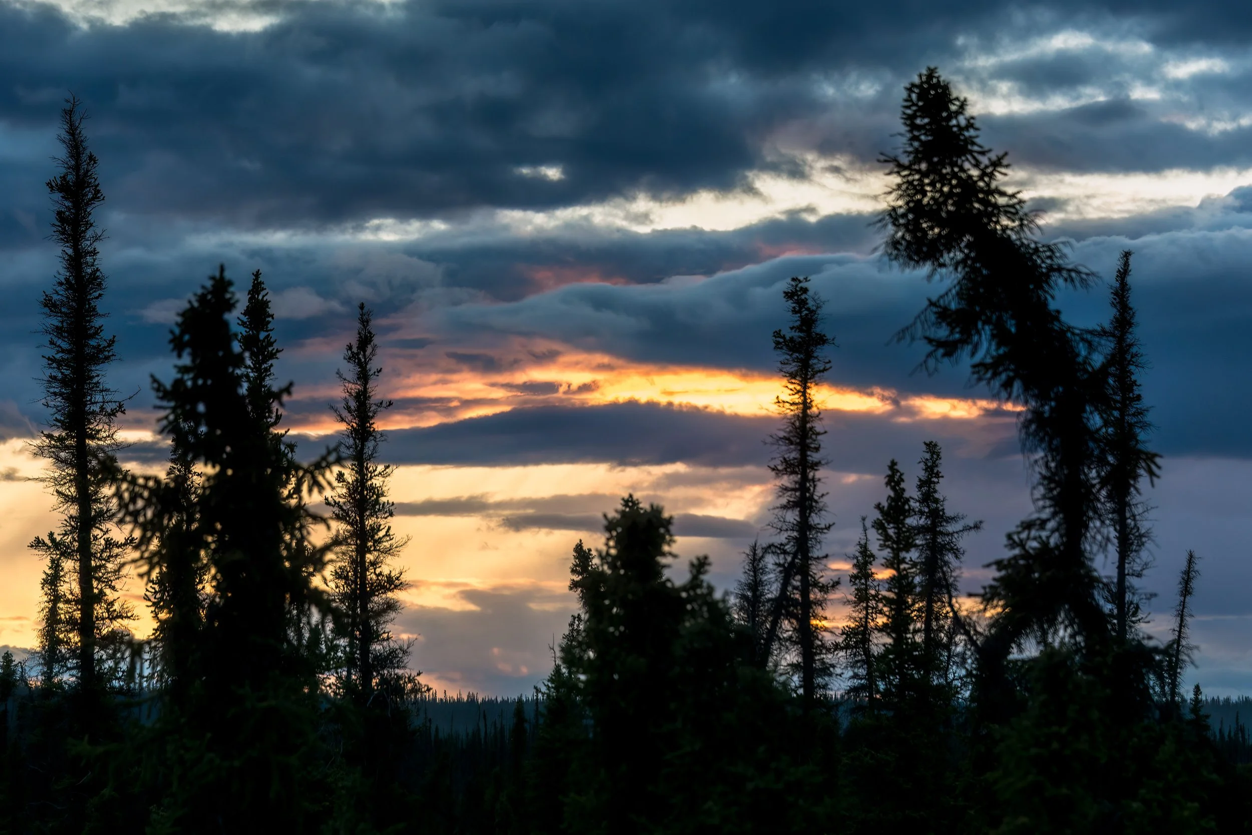 DSC_9352-Edit.jpg