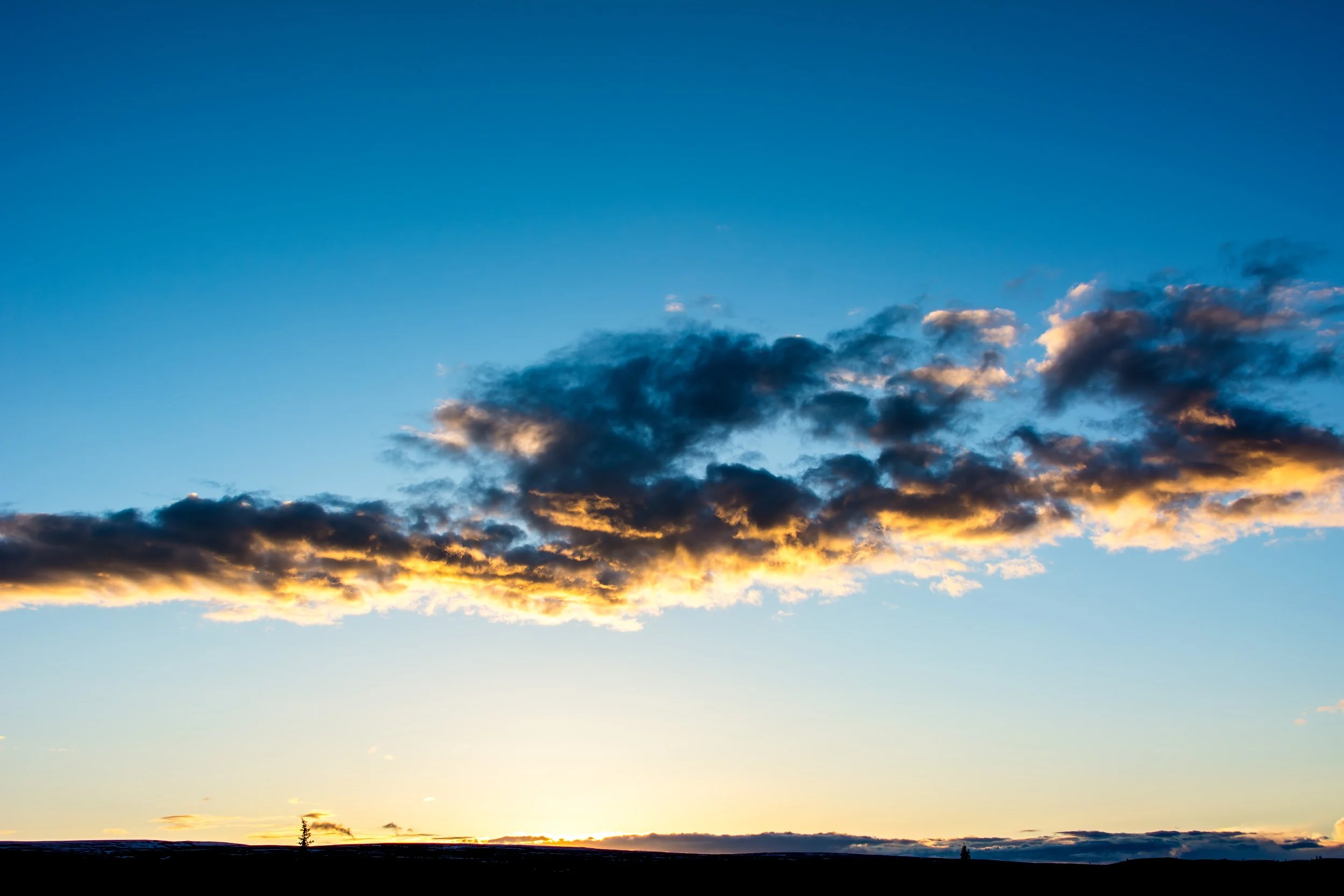 DSC_9348-Edit.jpg