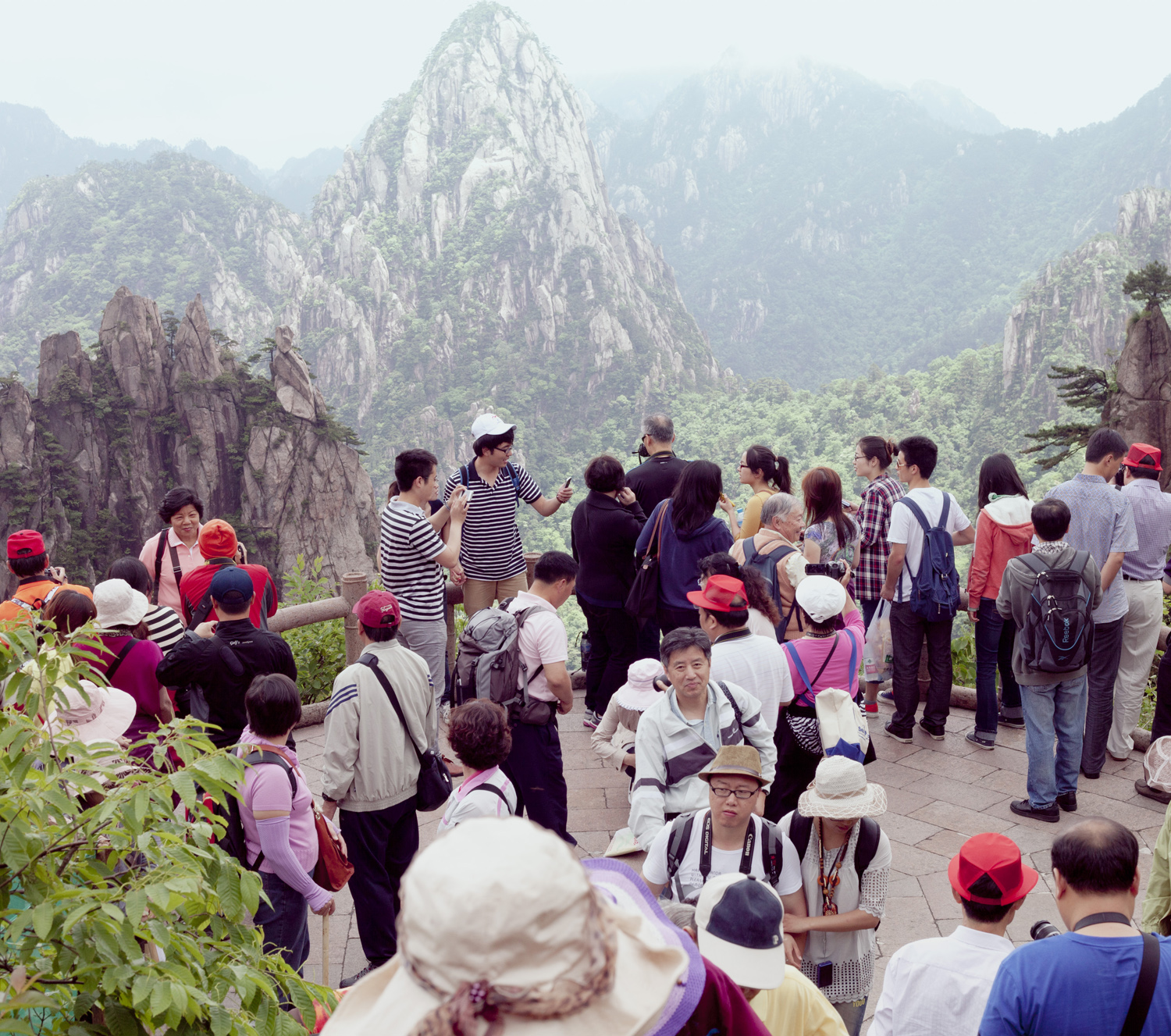 huangshan-china-forest-mountains-landscape-mark-hadden-photography