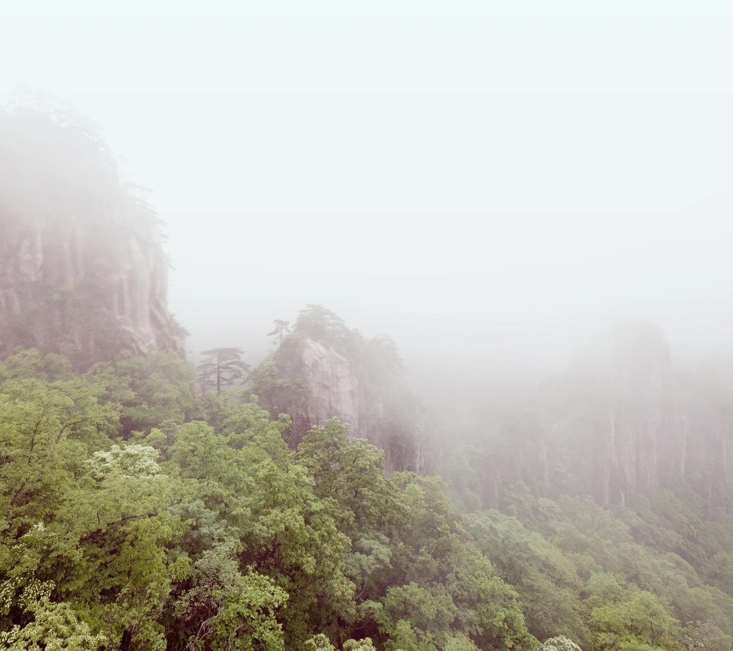 huangshan-china-forest-mountains-landscape-mark-hadden-photography
