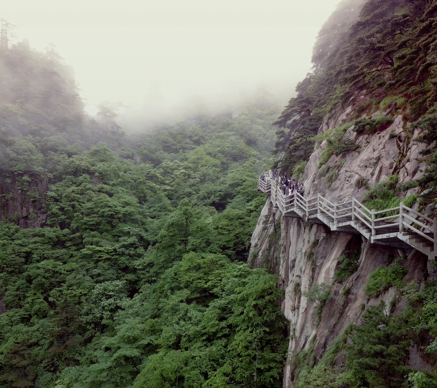 huangshan-china-forest-mountains-landscape-mark-hadden-photography
