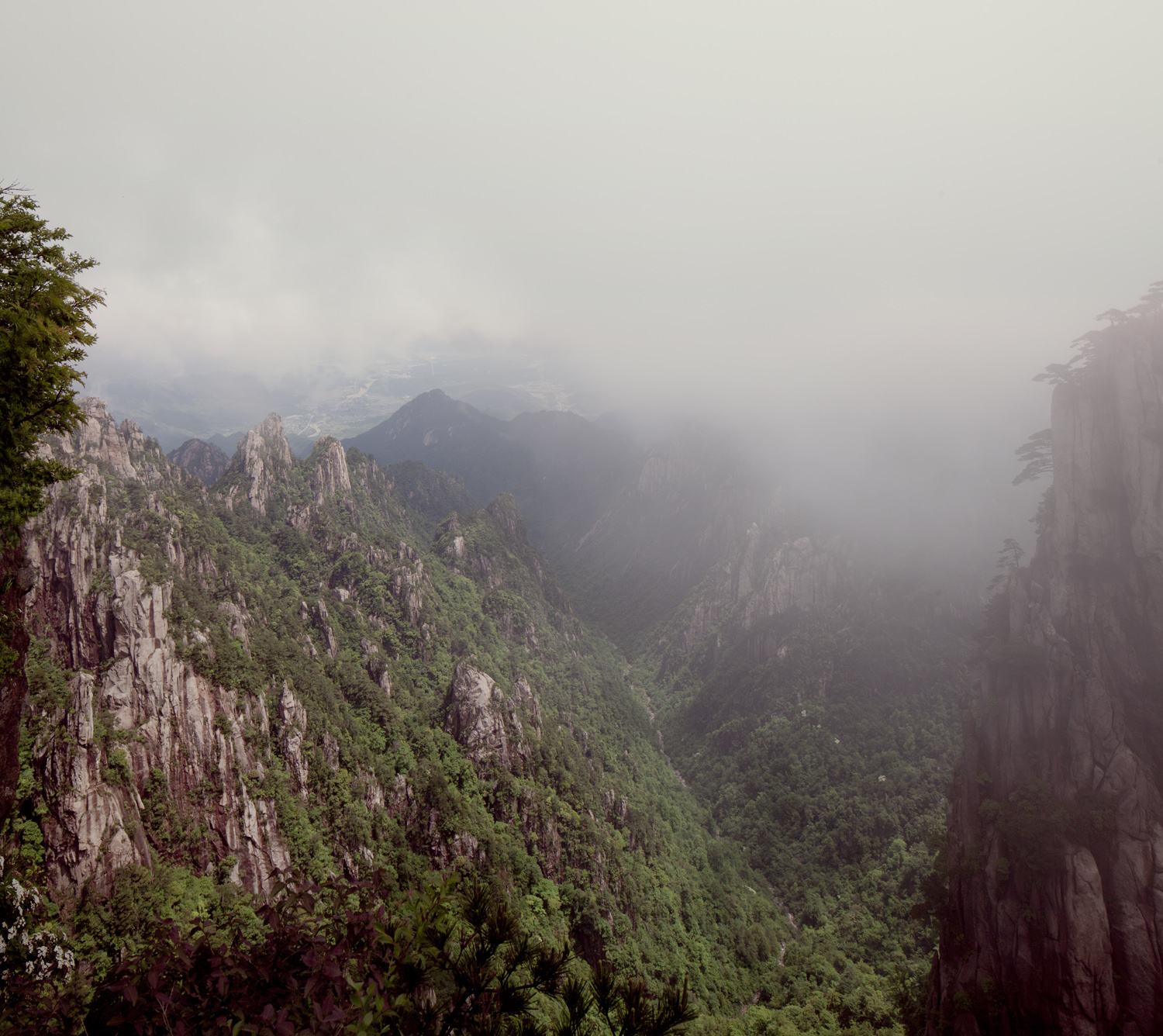 huangshan-china-forest-mountains-landscape-mark-hadden-photography