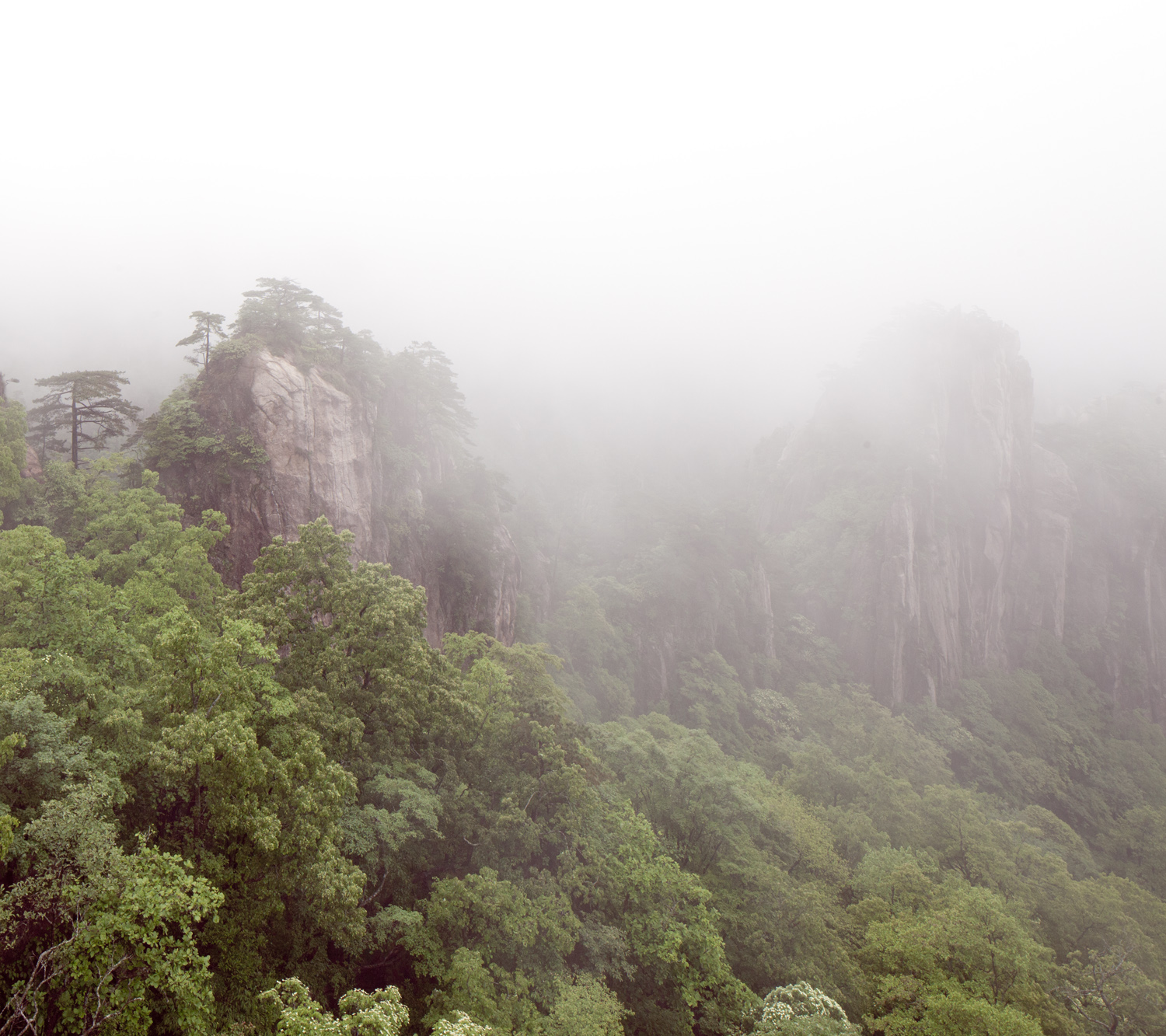 huangshan-china-forest-mountains-landscape-mark-hadden-photography