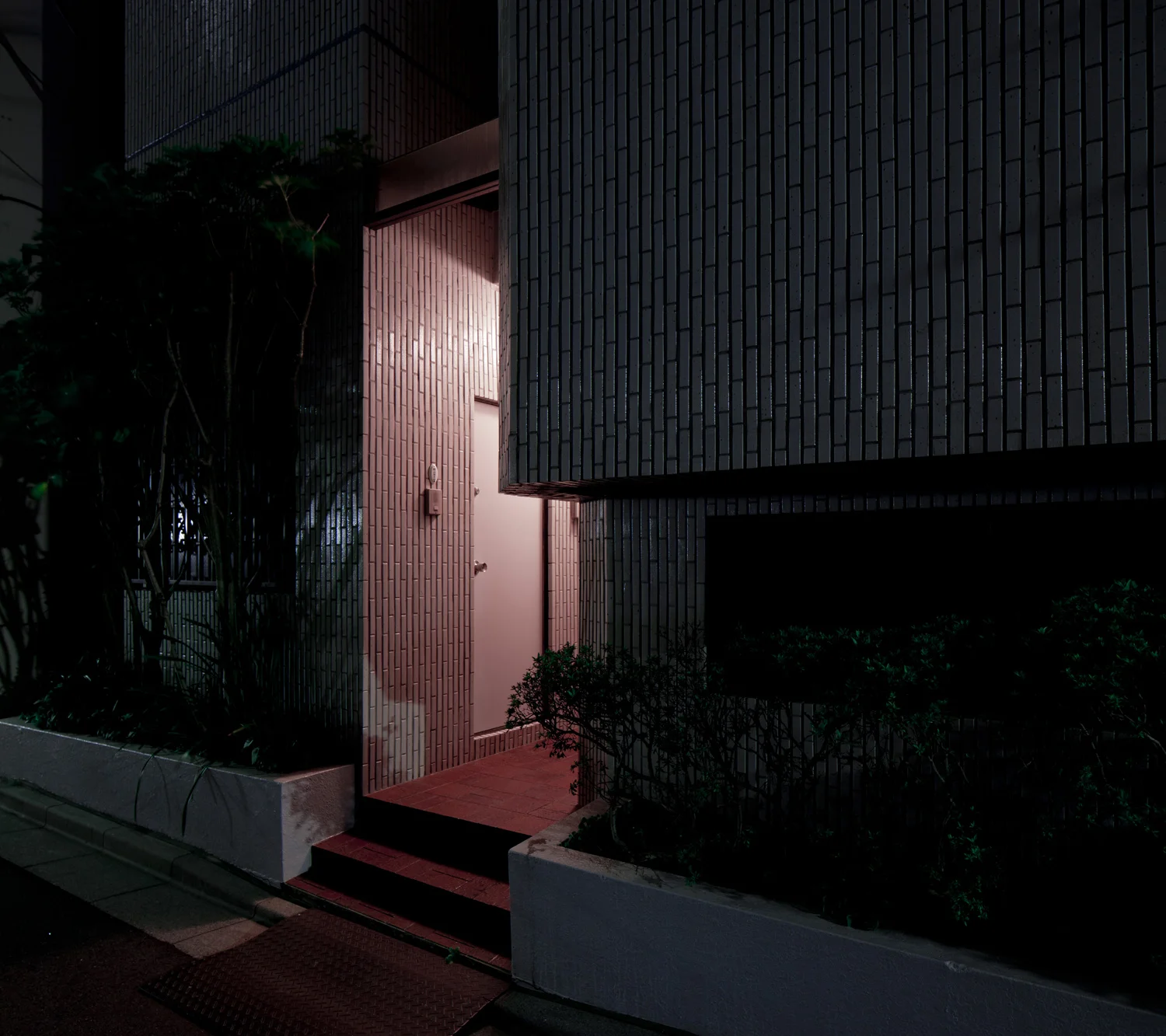 _MG_6517.jpg