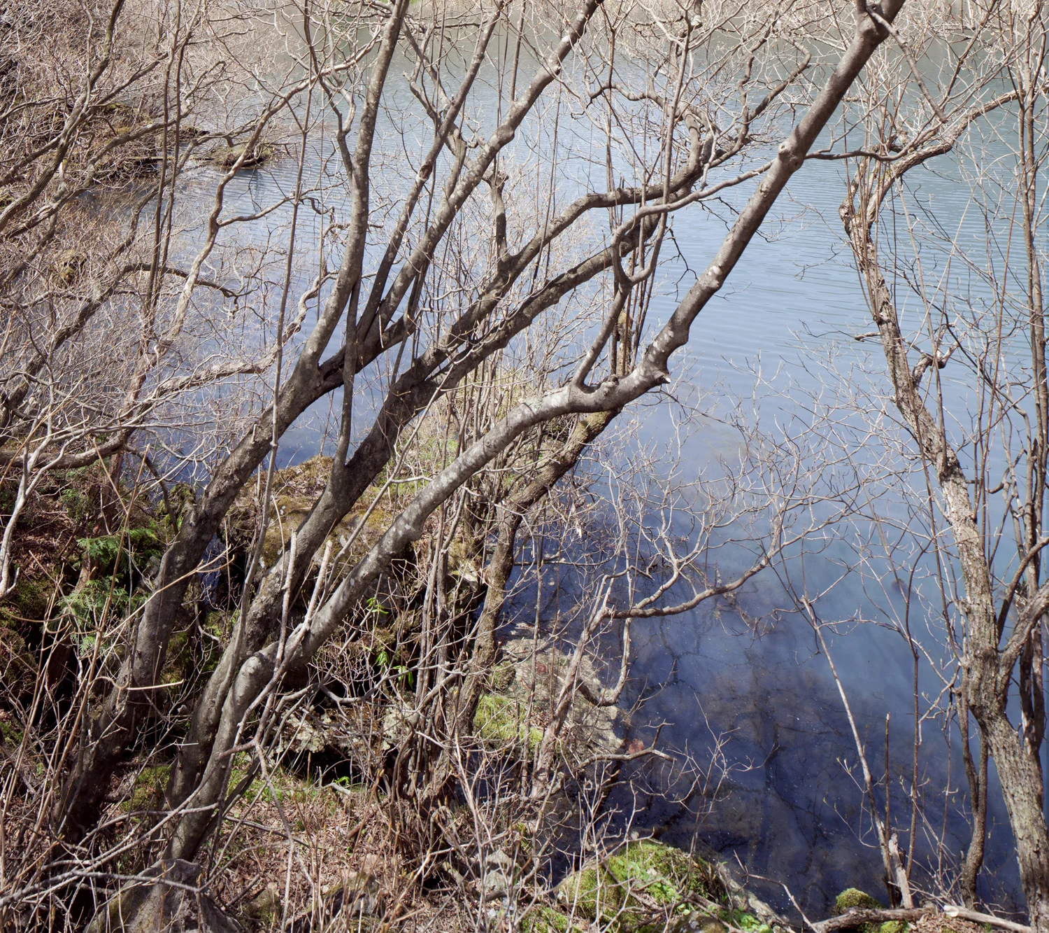_MG_5548.jpg