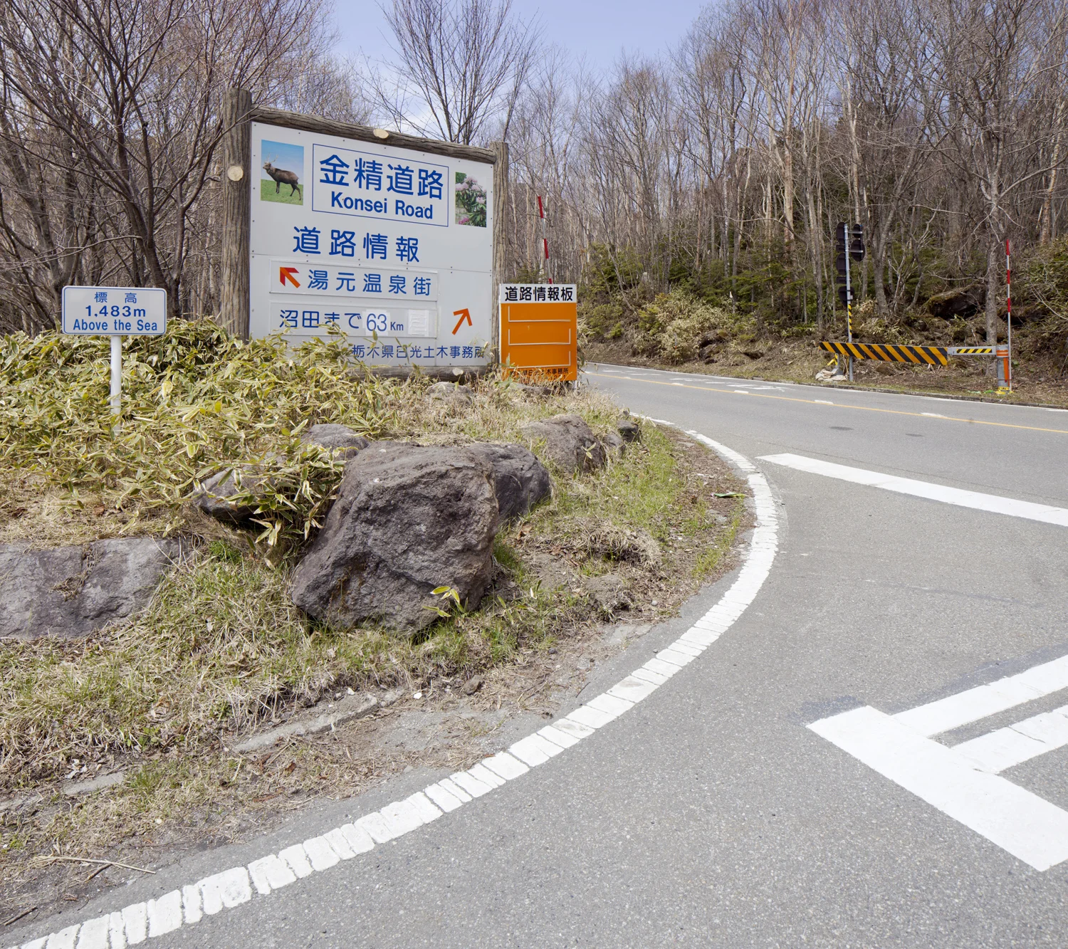 _MG_5571.jpg