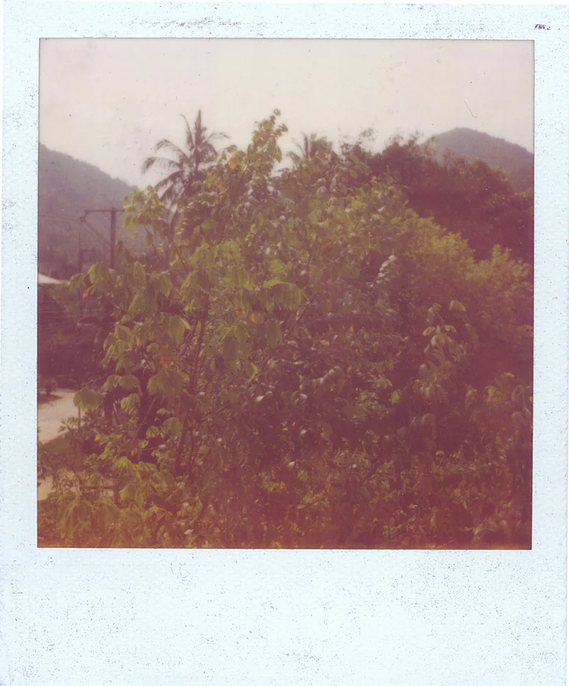 kt17a.jpg
