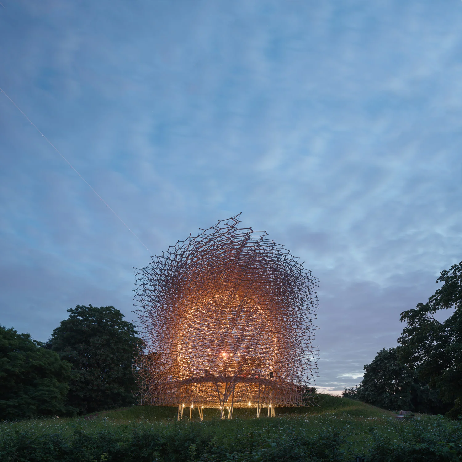The Hive at Night, Kew Gardens, Wolfgang Buttress. Mark Hadden Architecture Photographer