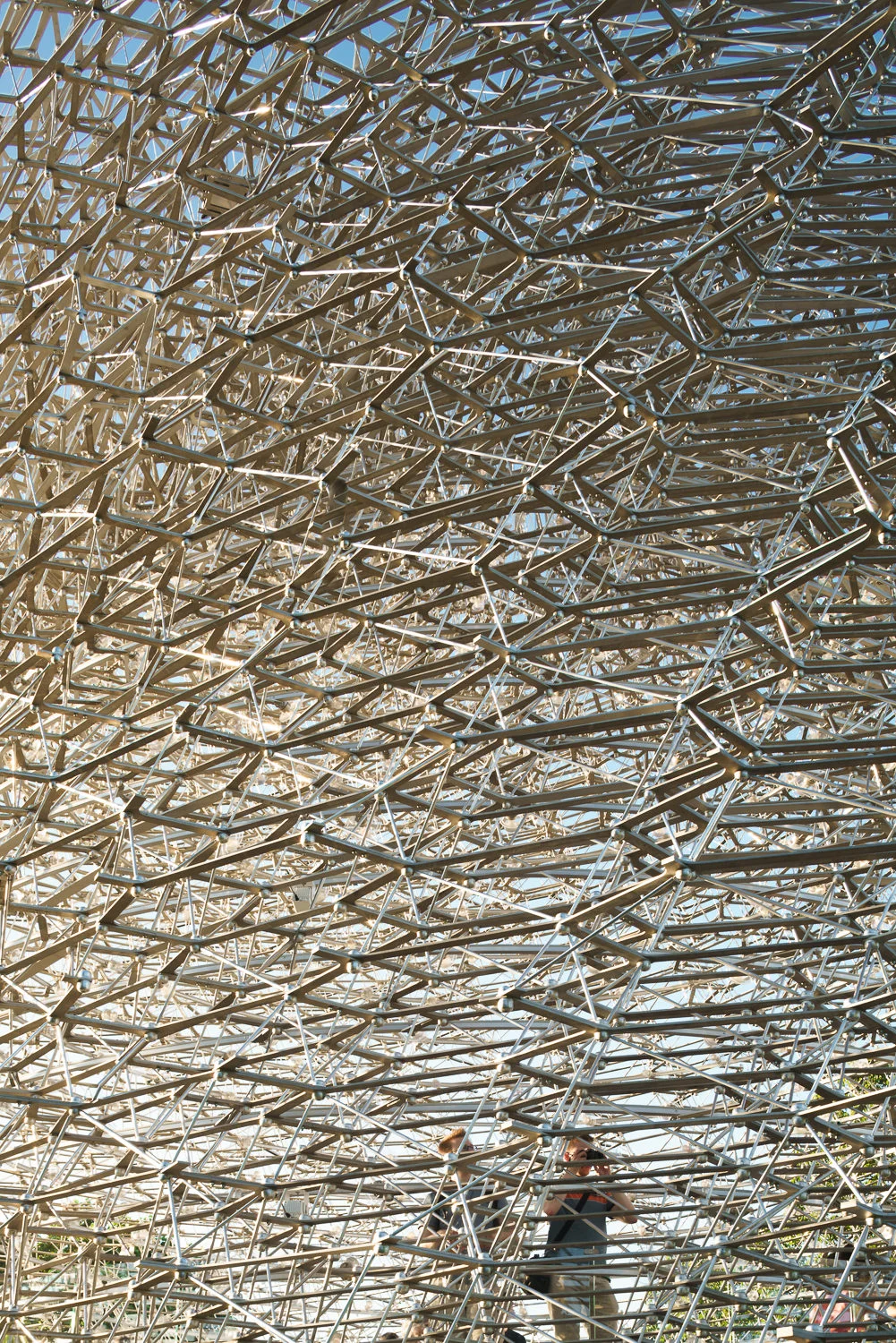 Looking out from The Hive, Kew Gardens. Mark Hadden Architecture Photographer
