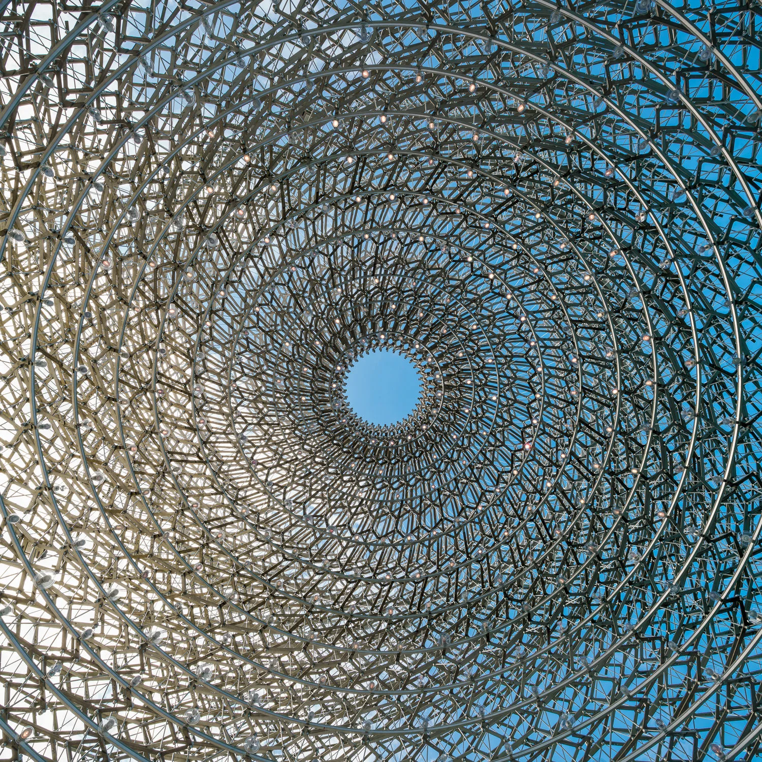 Structure at The Hive, Kew Gardens. Mark Hadden Architecture Photographer