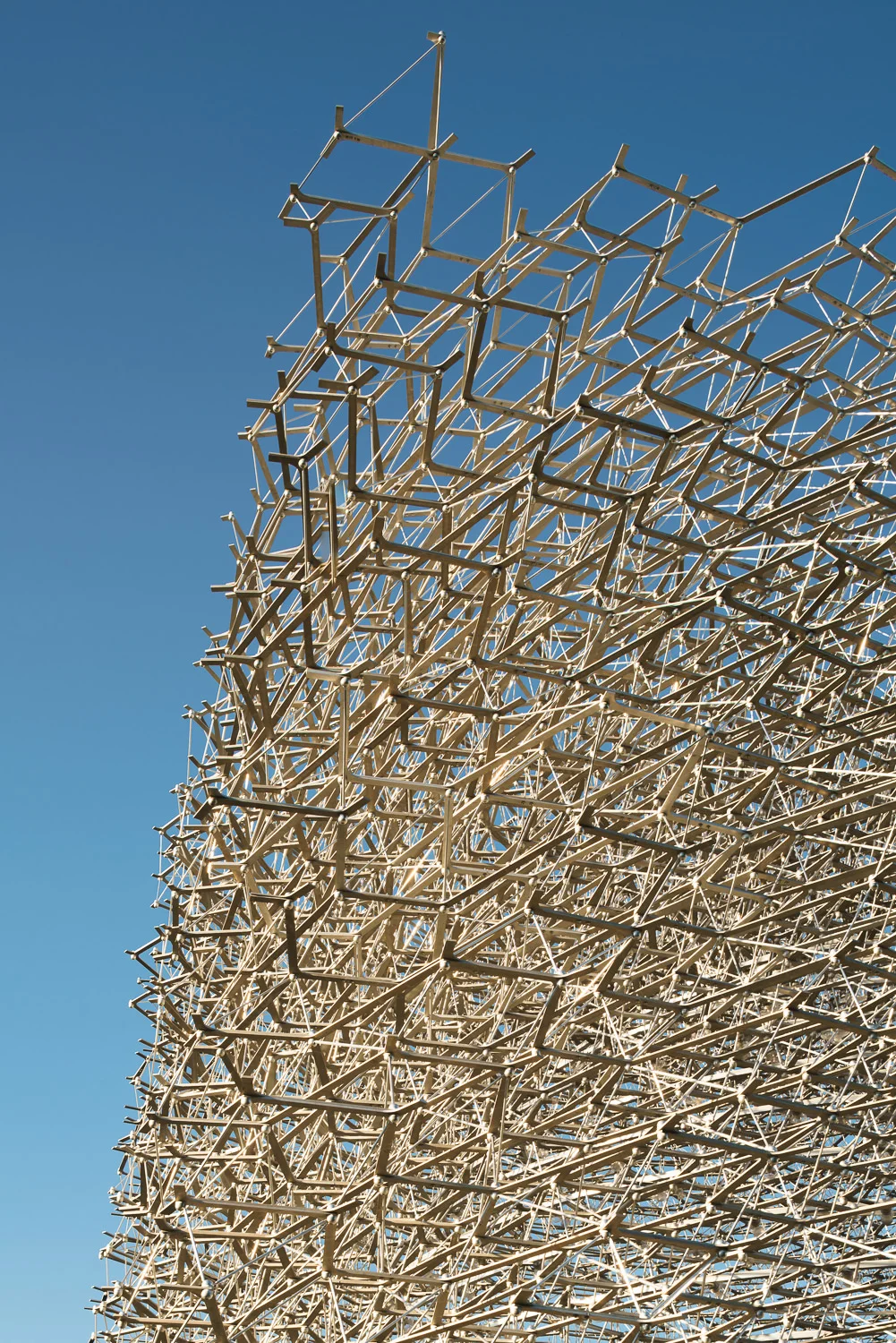 Detail of The Hive, Kew Gardens. Mark Hadden Architecture Photographer