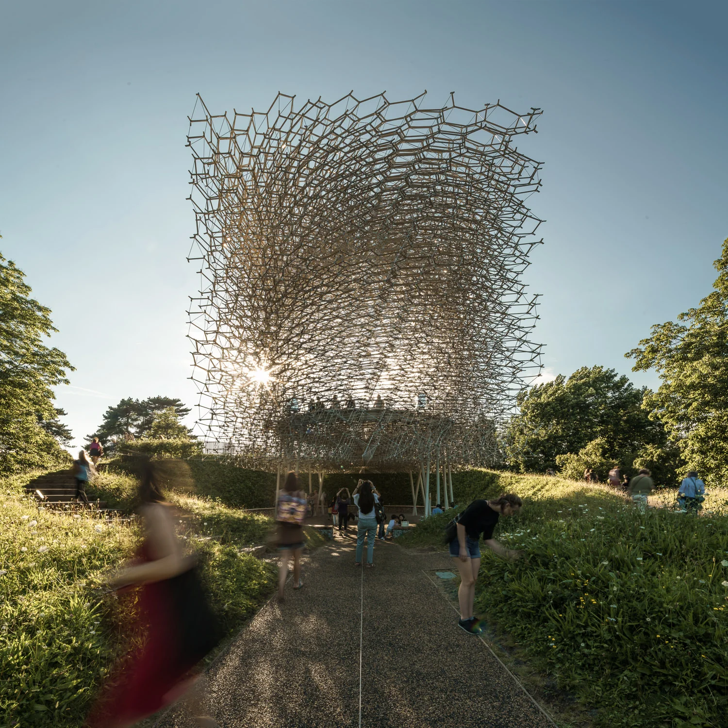 Late Afternoon at The Hive, Kew Gardens. Mark Hadden Architecture Photographer