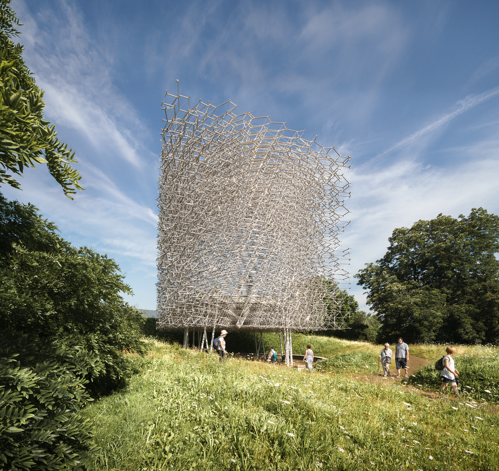 Through the meadow at The Hive, Kew Gardens. Mark Hadden Architecture Photographer