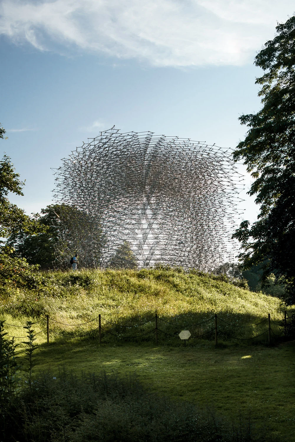 Morning at The Hive, Kew Gardens. Mark Hadden Architecture Photographer