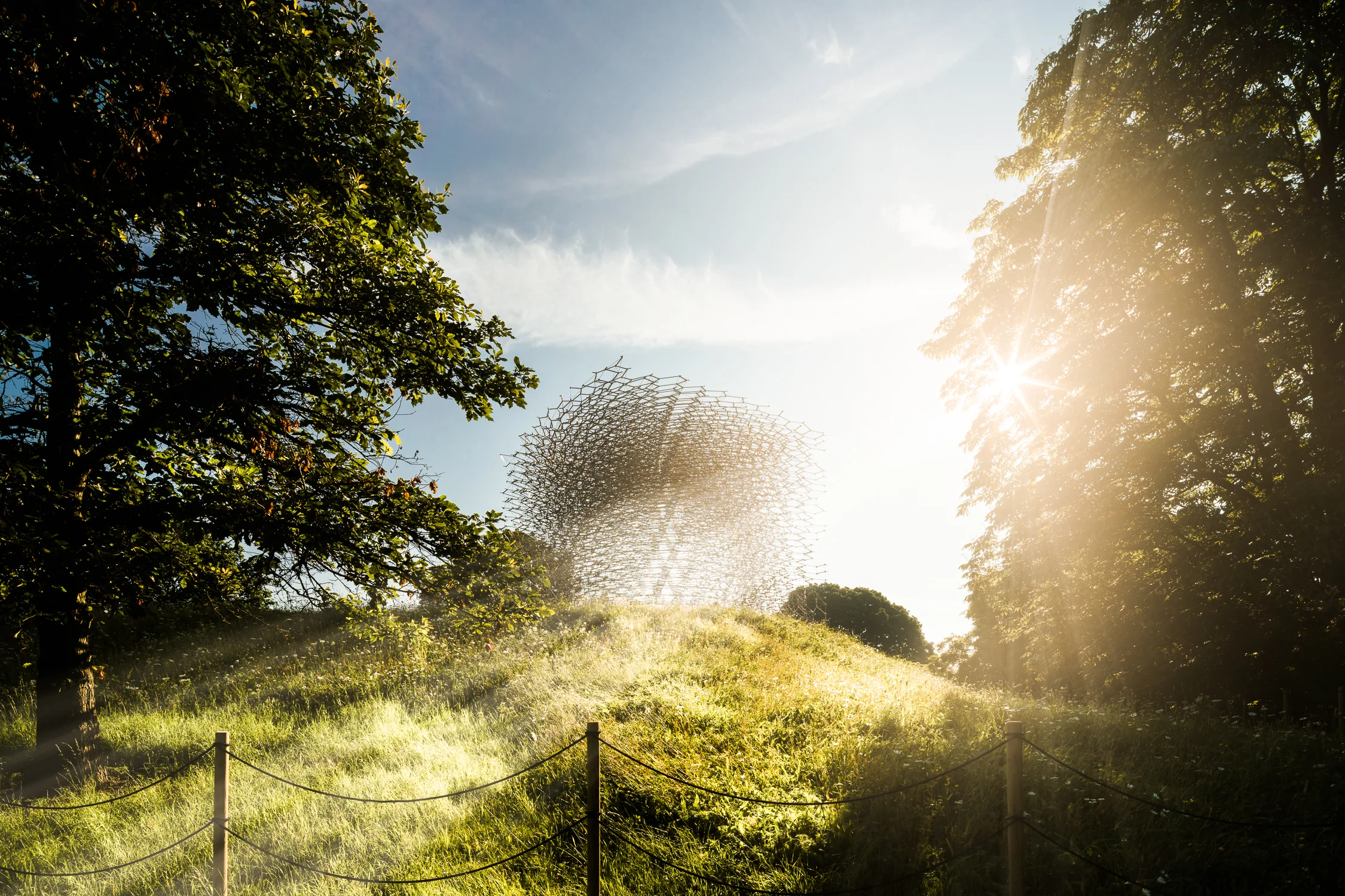 mark-hadden-architecture-photographer-architectuur-interieur-fotografie-london-amsterdam-hive-kew-342.jpg