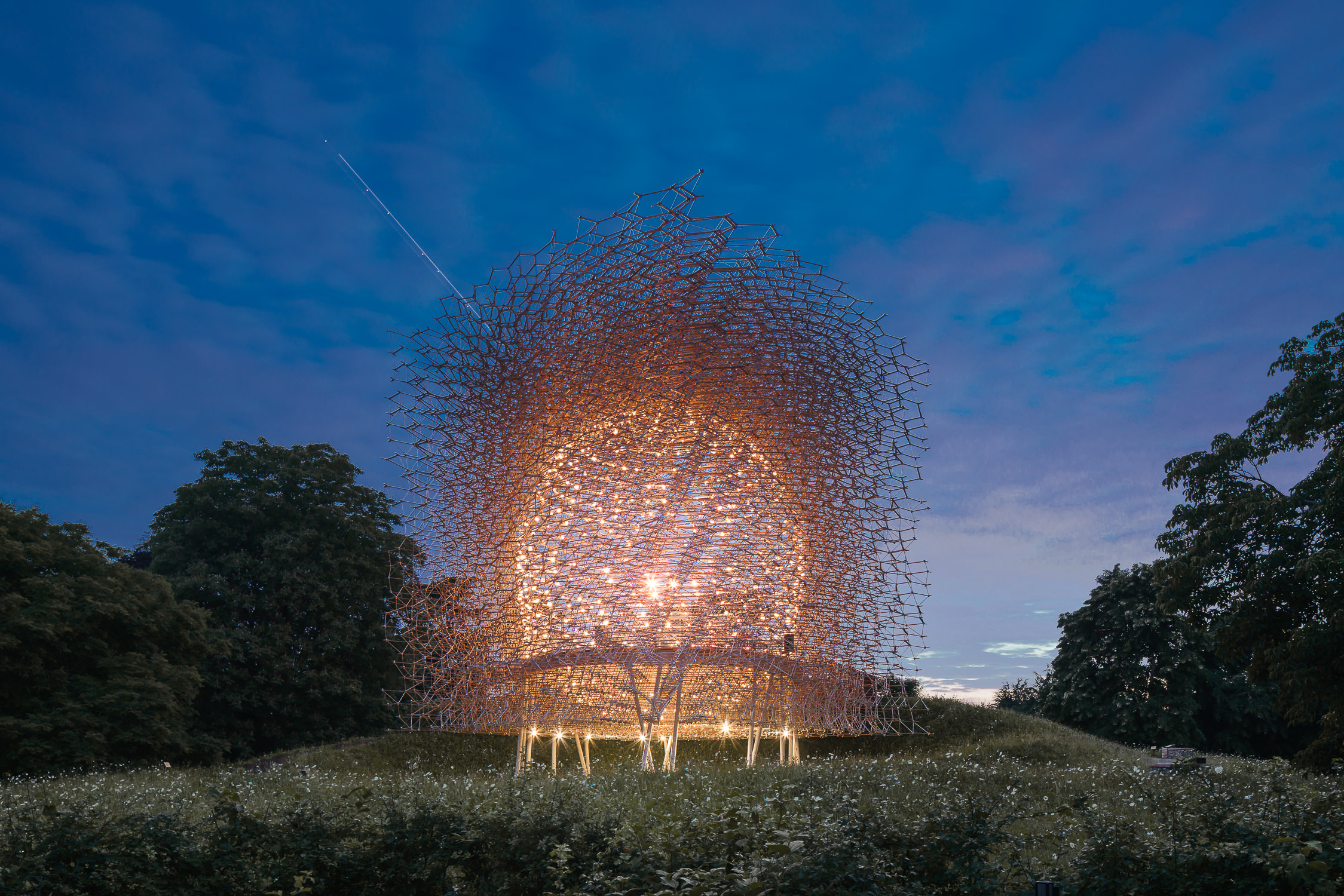 Hive at Kew Architecture Photography London