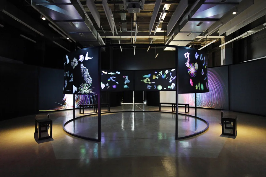 Media Space, Science Museum, Universal Everything & You