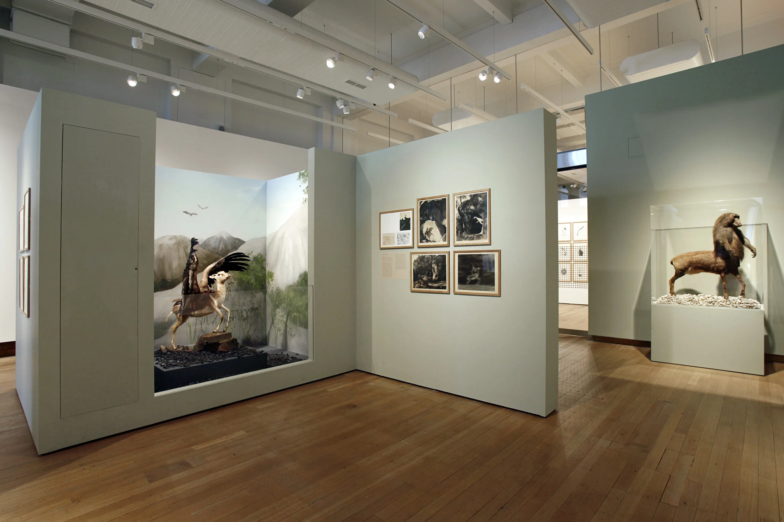 Media Space, Science Museum, Joan Fontcuberta: Stranger Than Fiction ,