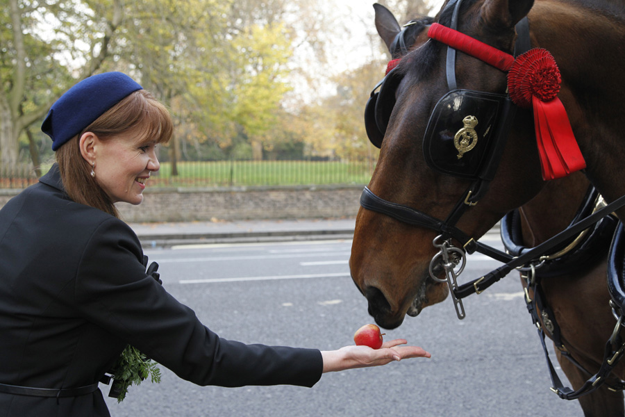 Estonian Embassy event, London