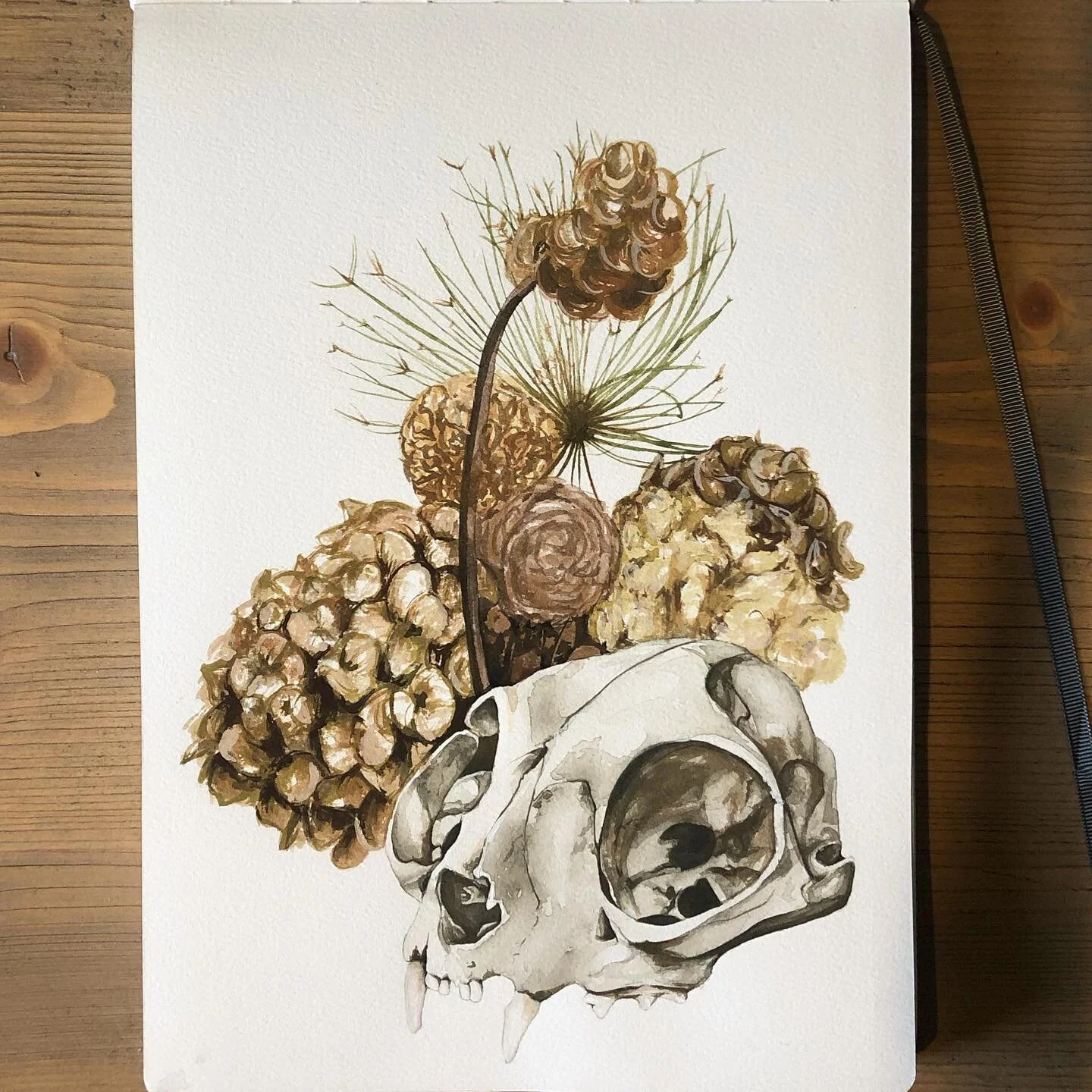 Tried to keep this sketch pretty loose which for me is a struggle 😅

#gouache #painting #etchrsketchbook #catskull #deadflowers