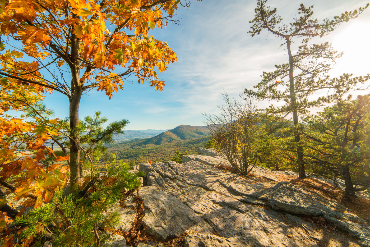 Massanutten Story Book Trail with Fall Foliage.