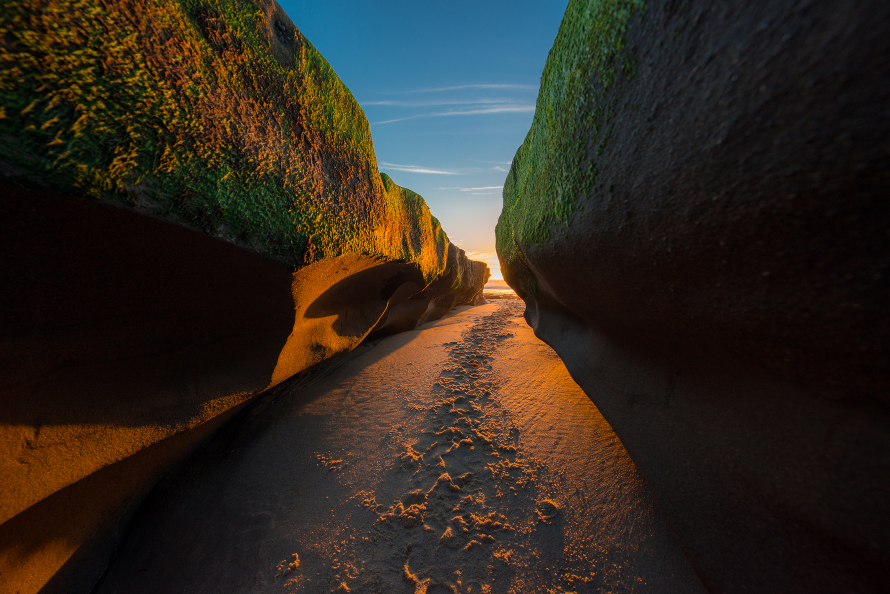 La Jolla Tide Pools