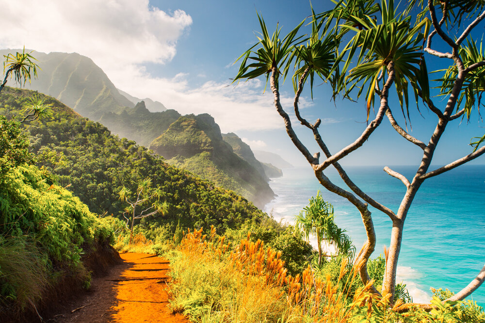 USA---Kauai---Kalalau-Trail-2014-12-12_11.57.31.jpg