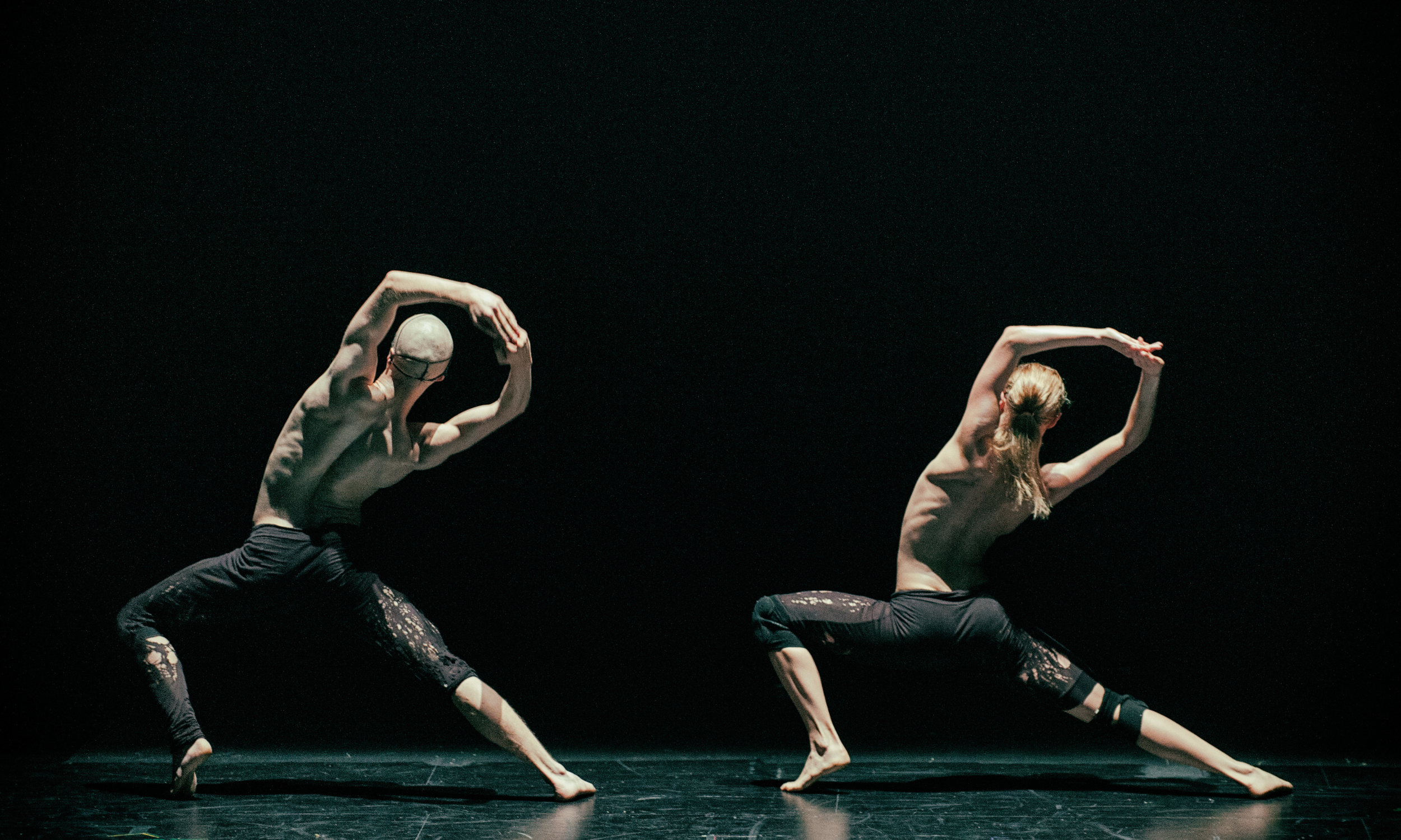 2TESSA BANNER (2500 x 1500 px).png