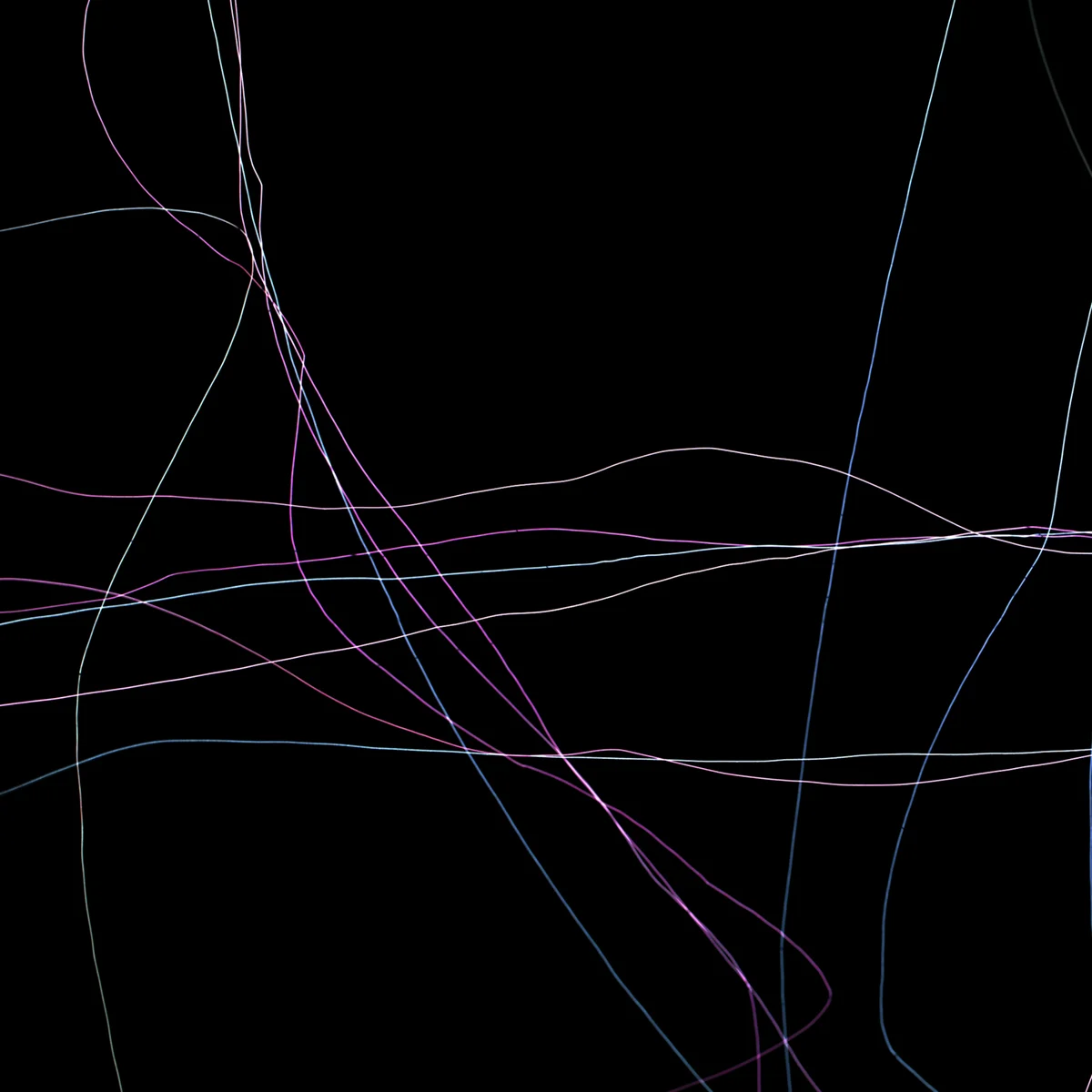 strings_0025.jpg