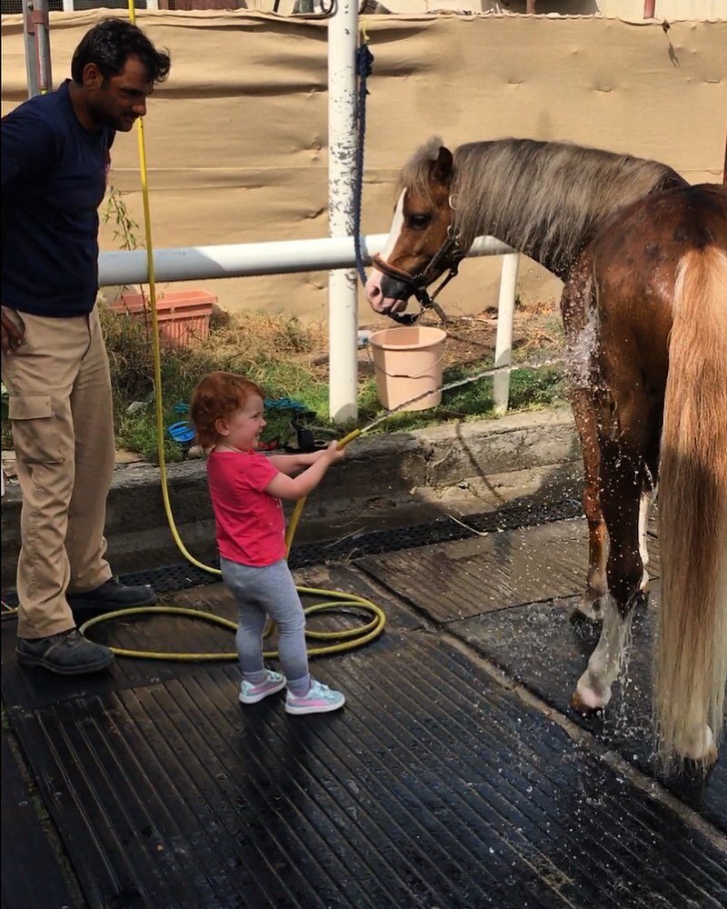 .
🅕🅤🅣🅤🅡🅔 🅛🅔🅐🅓🅔🅡
I&rsquo;ll be honest this little boss lady is not my typical client and furthermore, if you had seen her 30 minutes earlier wanting to be carried and nervous to touch even the miniature ponies you&rsquo;d find it hard to b