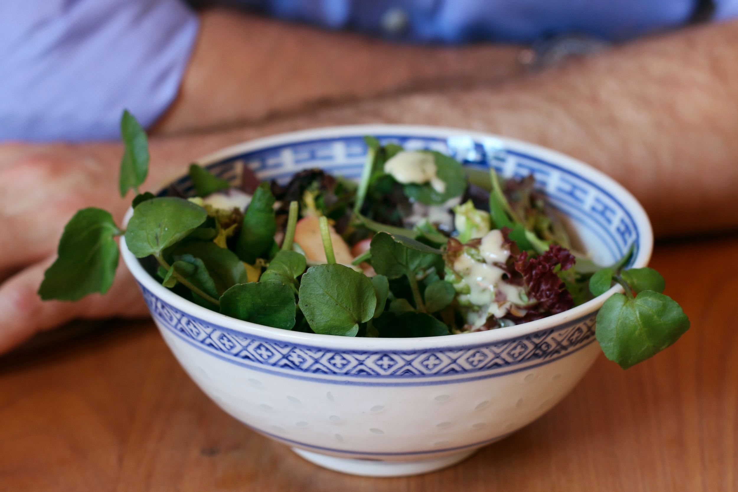 Menu-Salat (Bild: Yekaterina Schläpfer)