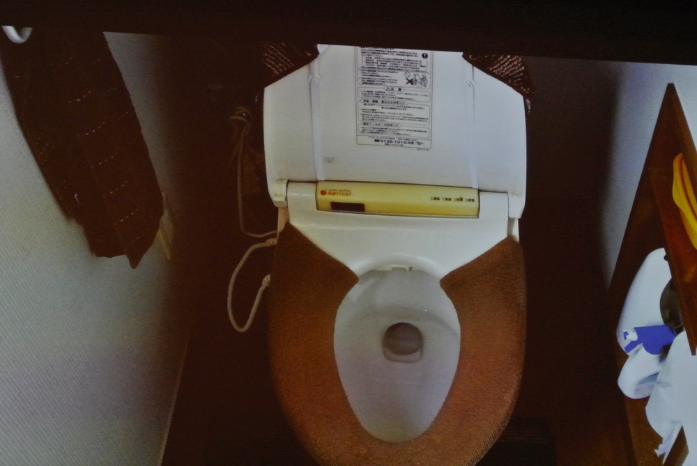 ronja-sakata-toilette