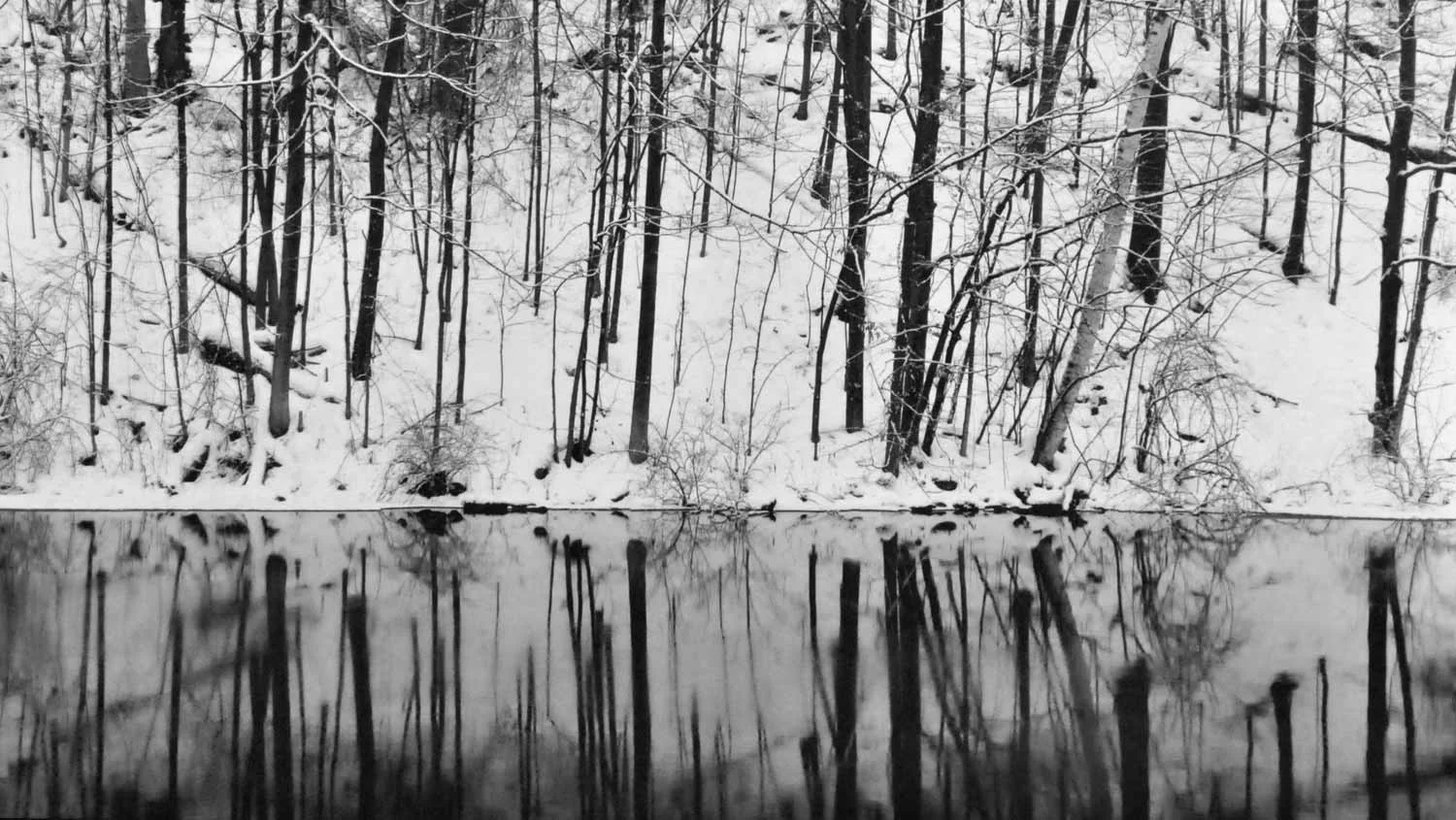 Stillness-Alabahari.jpg