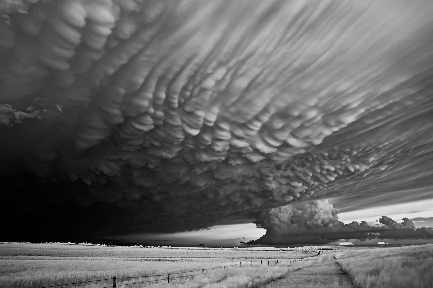 Mitch Dobrowner-21st Copy-© Mammatus-jpg.jpg